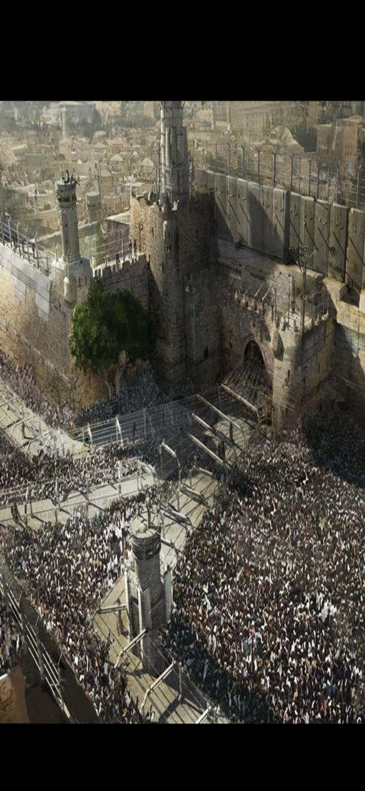 Konceptkunst iPhone XS Max World War Z Baggrund Wallpapers