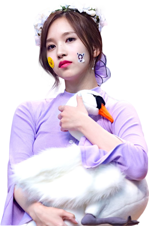 Kpop-stjerne med udstoppet svane Wallpapers