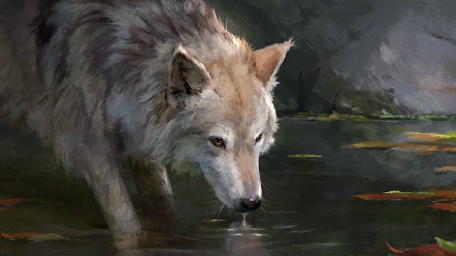 Kreativ illustration af ulv, der drikker vand Wallpapers