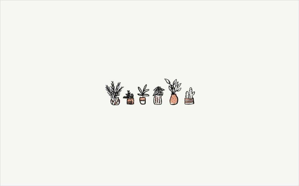 Krukkeplanter Grafisk Fra Pinterest Laptop Wallpapers