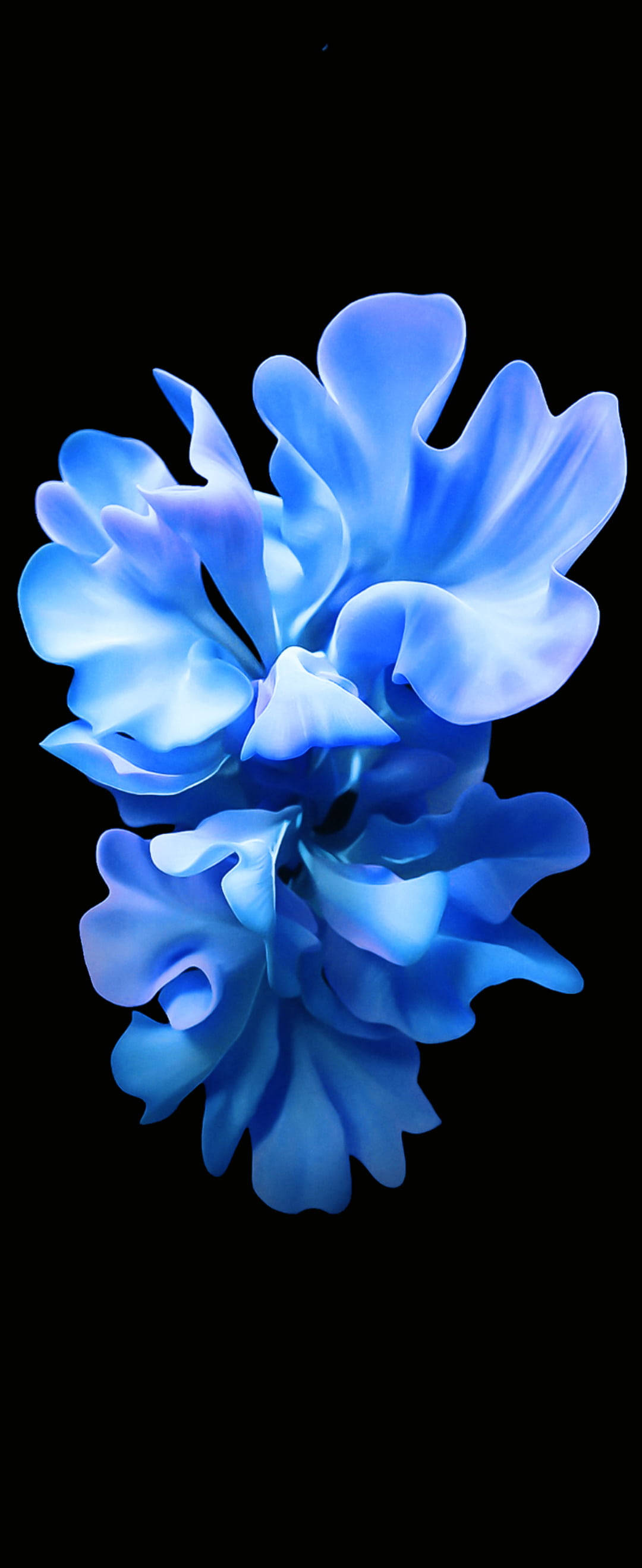 Krystalblå blomst til Samsung S20 FE Wallpapers