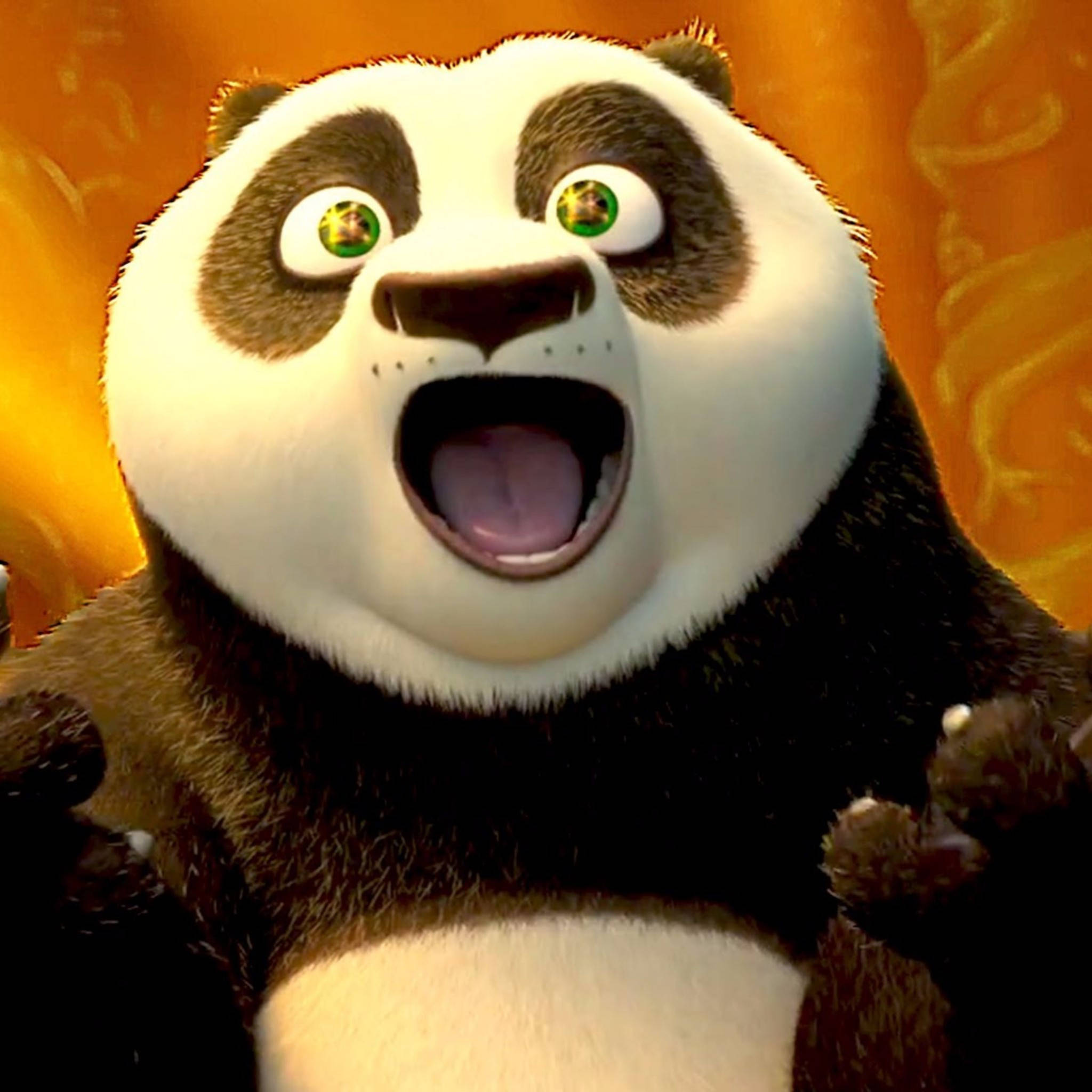 Kung Fu Panda Glad og Ophidset Wallpapers