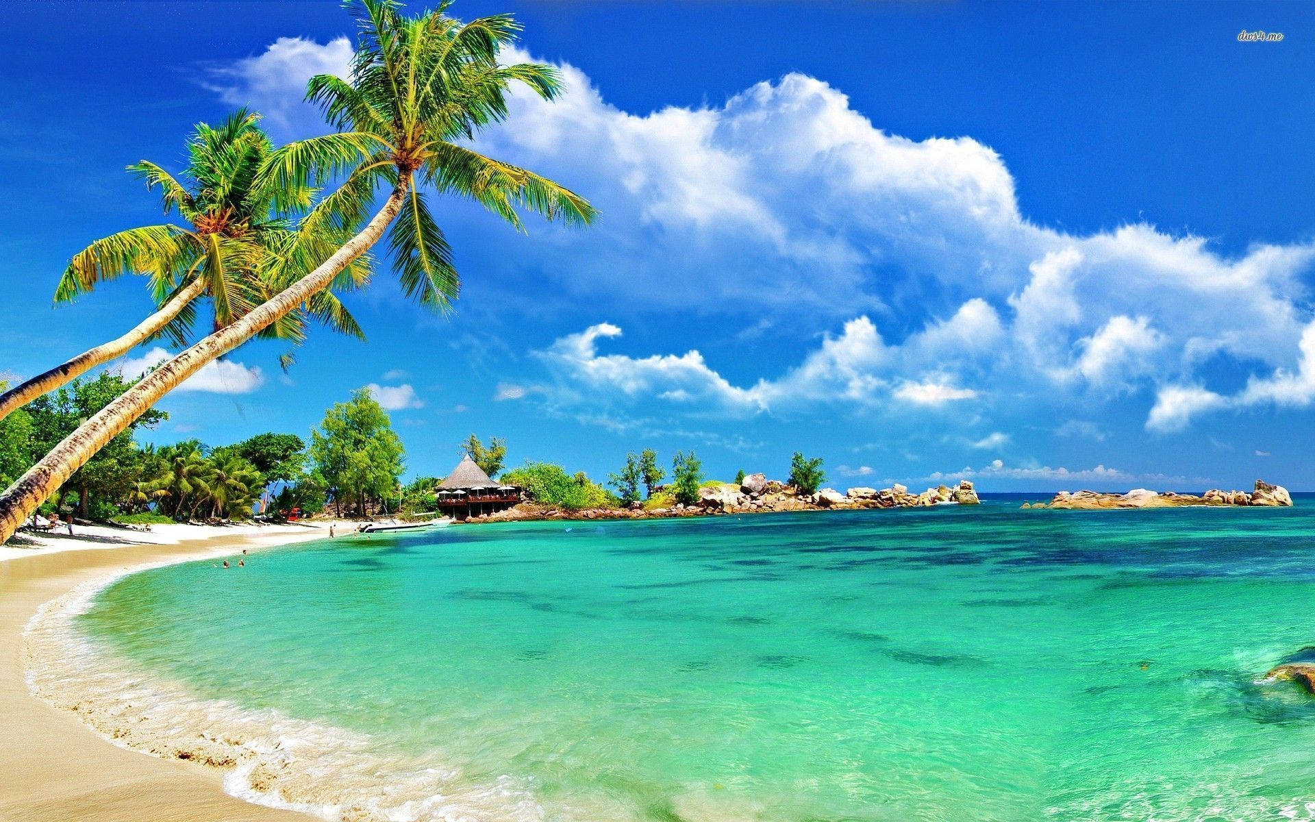 Kystlinje ved tropiske Montego Bay Wallpapers
