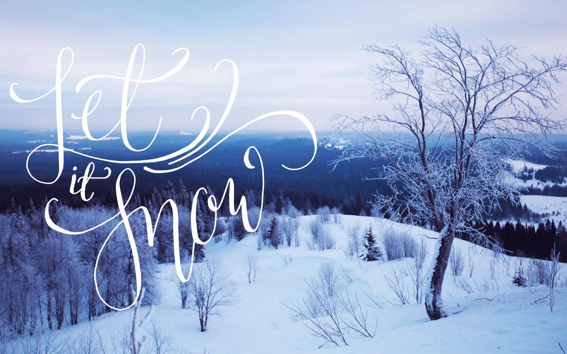Lad det sne æstetik Wallpapers