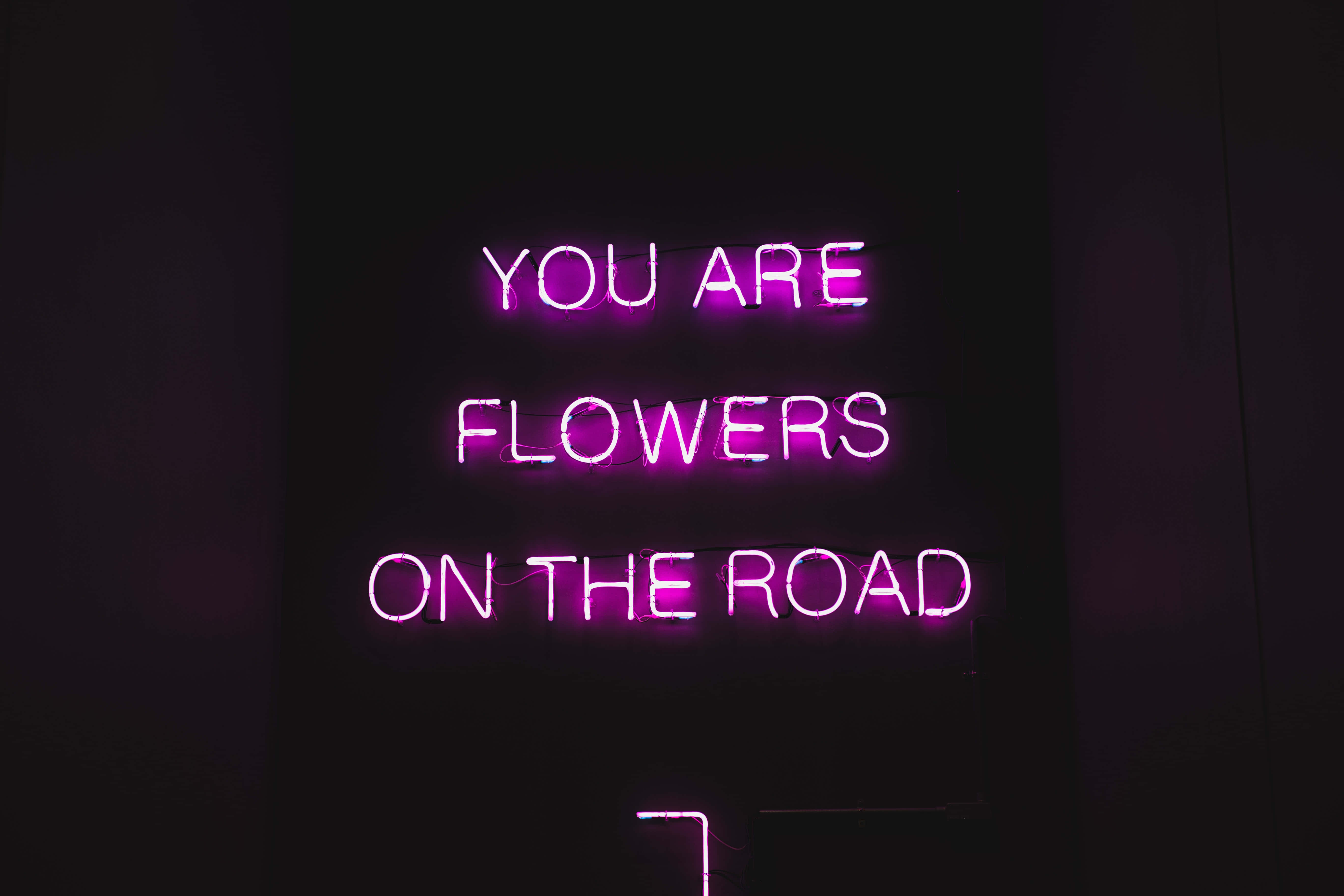 Lad dig inspirere af dybderne i den mørke lilla æstetik Wallpapers