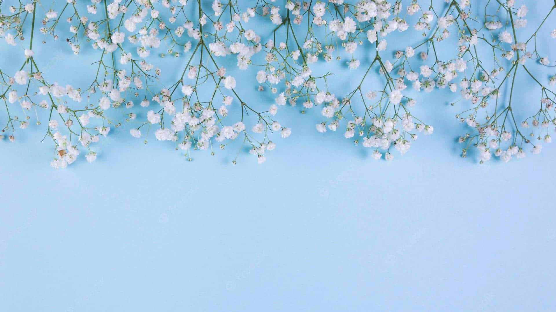 Lad din dag være fyldt med positivitet og skønhed. Wallpapers