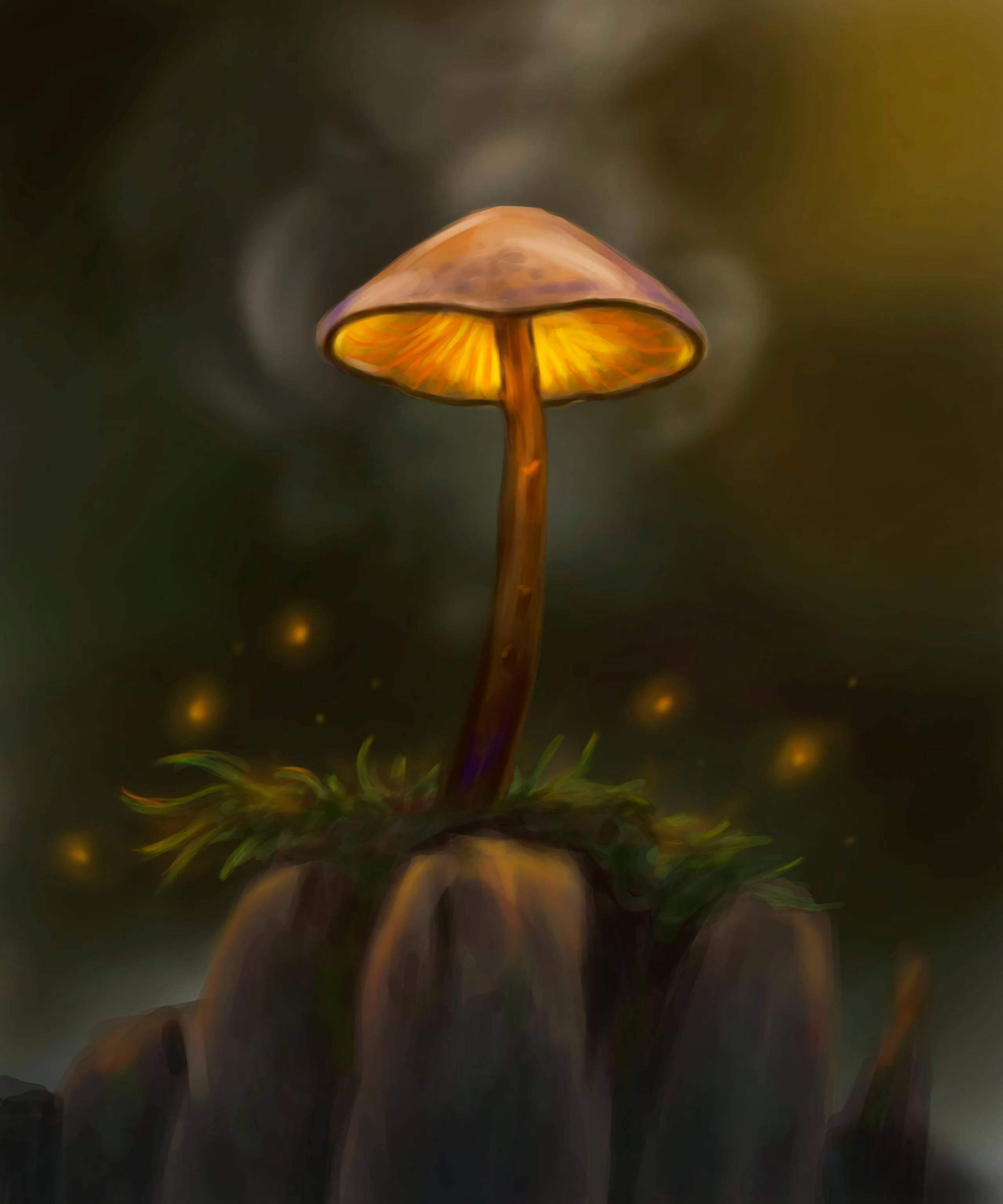 Lad din fantasi flyve med disse magiske svampe. Wallpapers