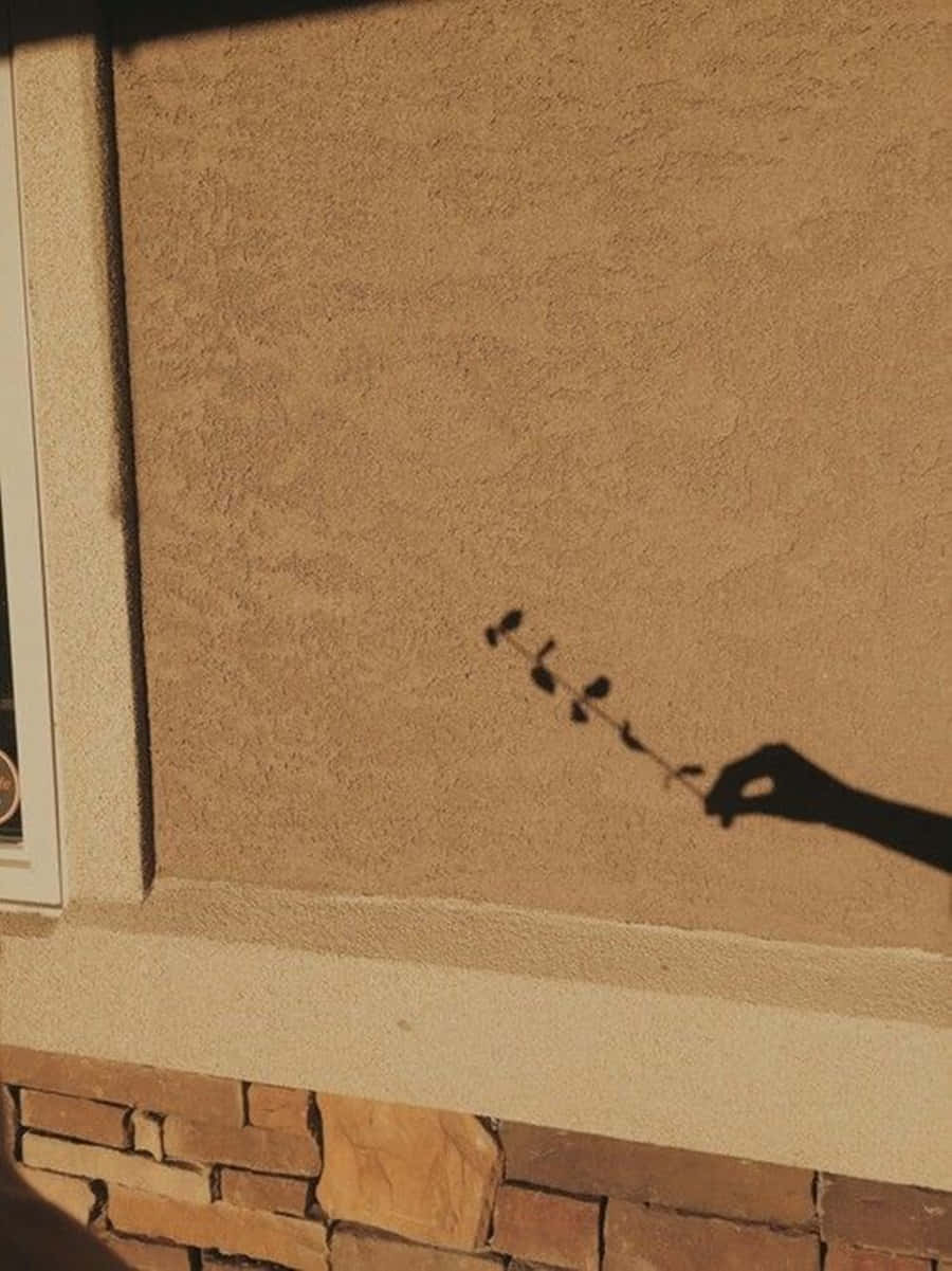 Lad naturen bringe en atmosfære af varme og komfort med #AestheticBrown Wallpapers