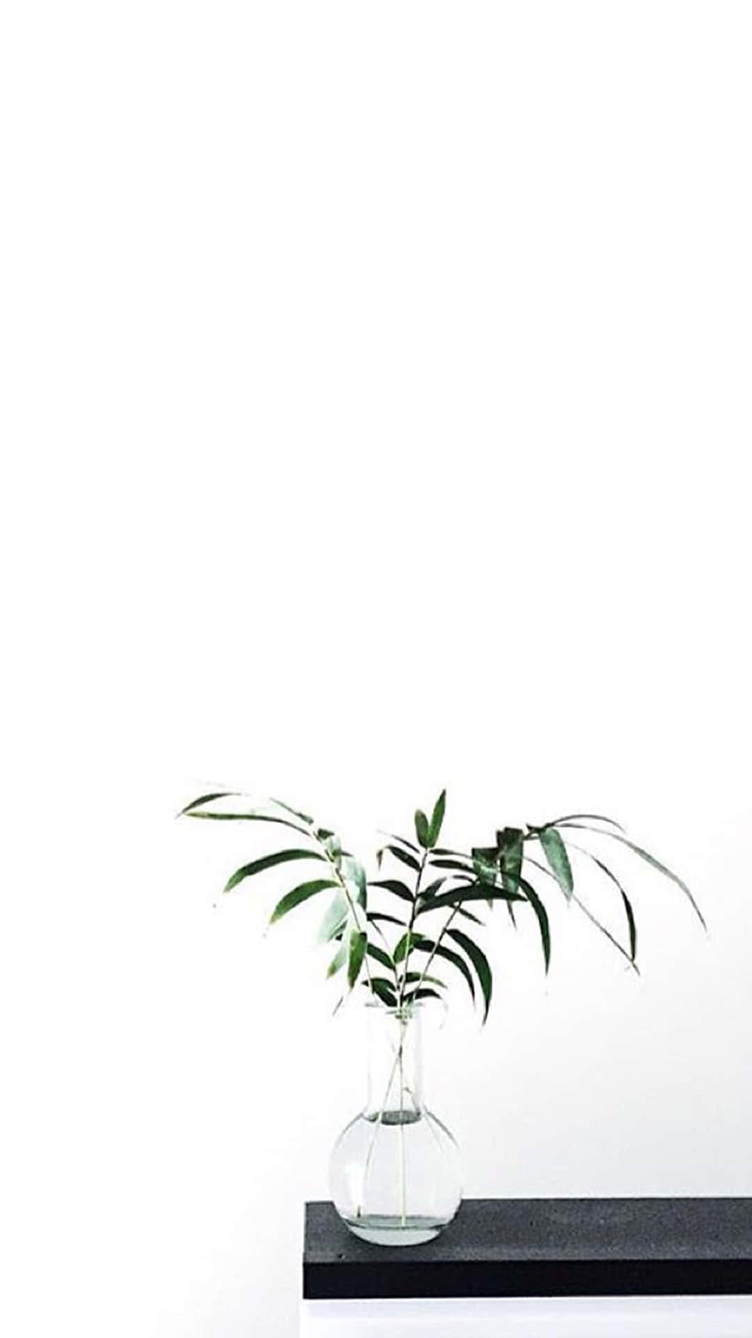 Lad verden vide, at Aesthetic White kan holde dig skarp. Wallpapers