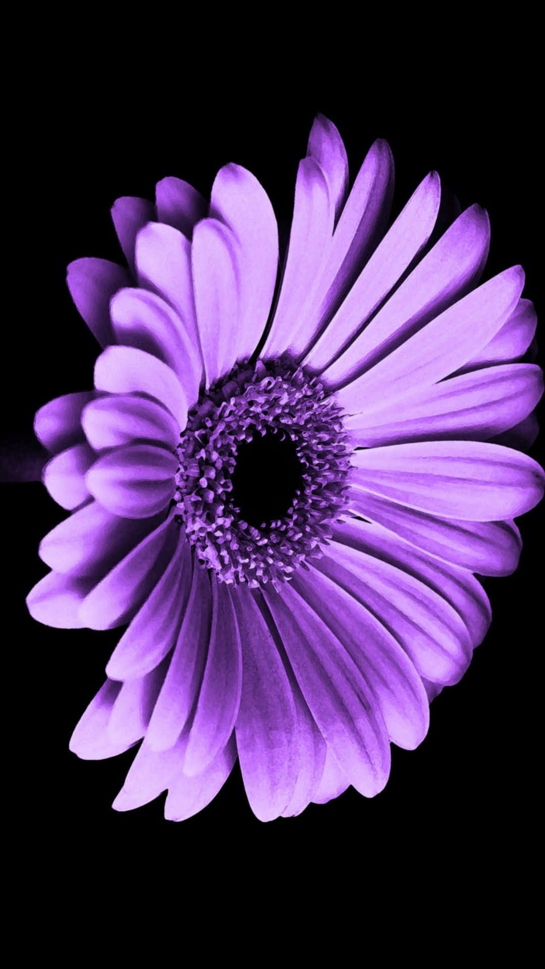 Lås livsglæden op med dette blomster iPhone-baggrund Wallpapers