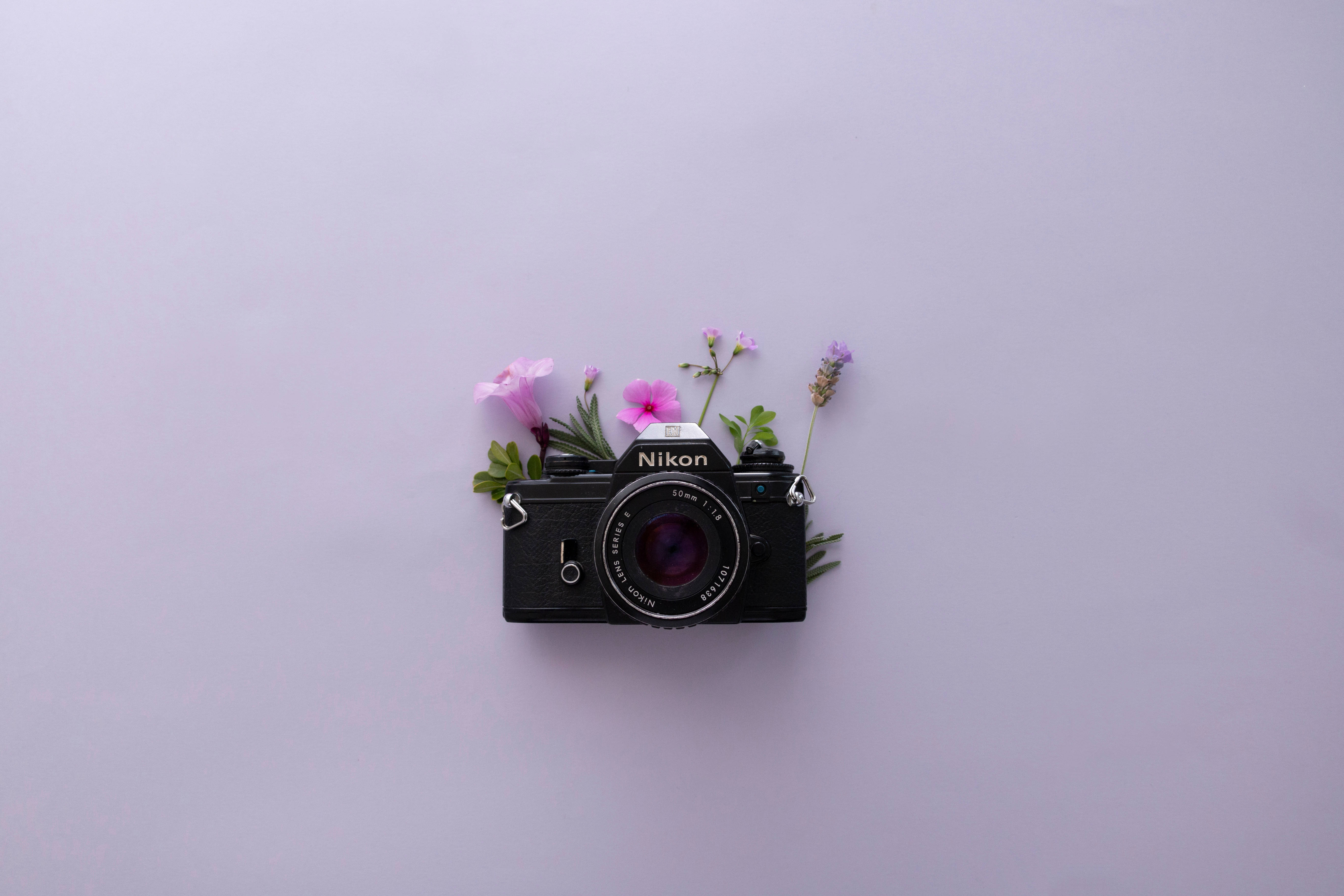 Lavendel æstetik og Nikon kamera Wallpapers