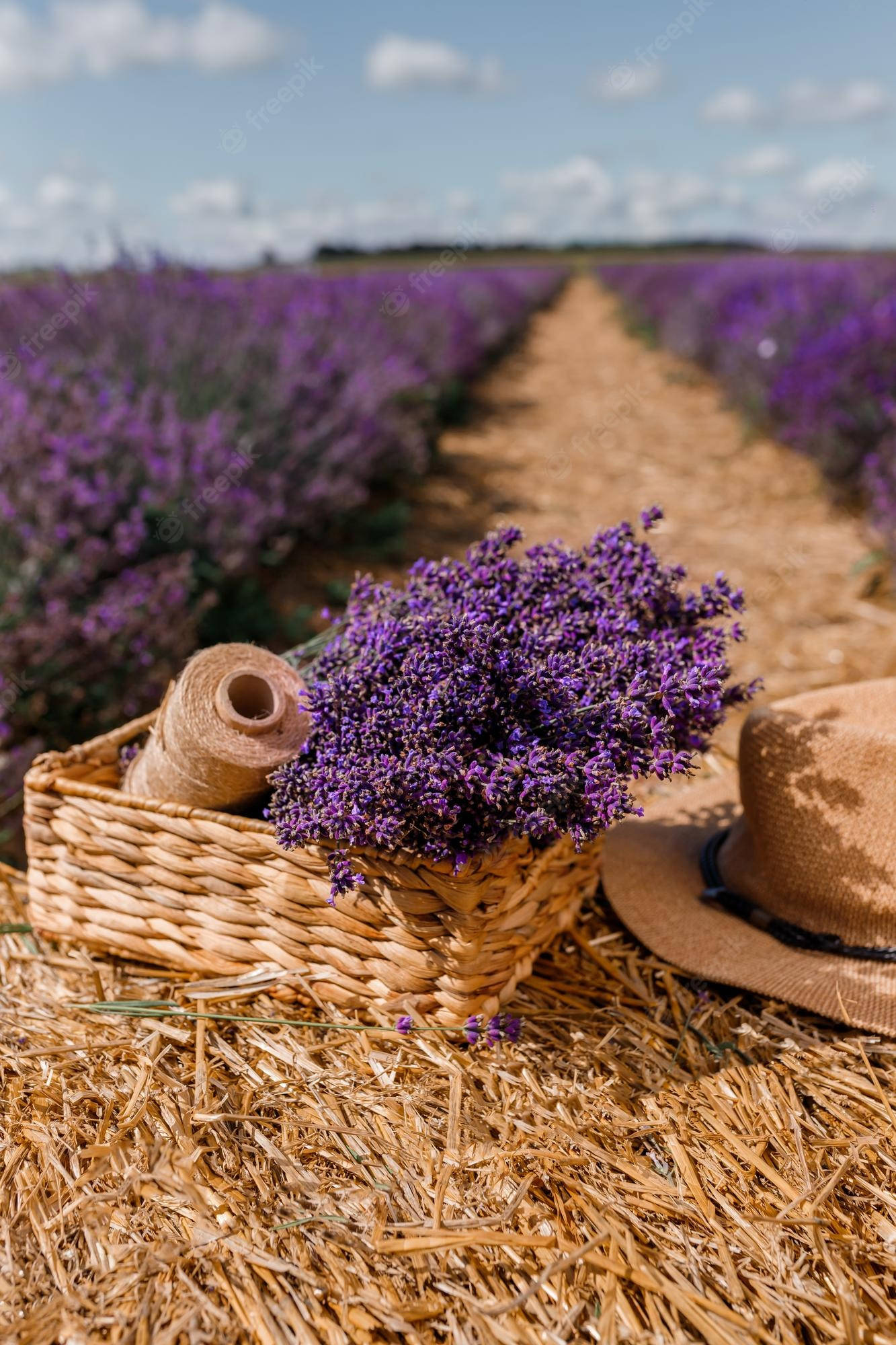 Lavendel æstetiske blomsterknopper og sejlgarn Wallpapers