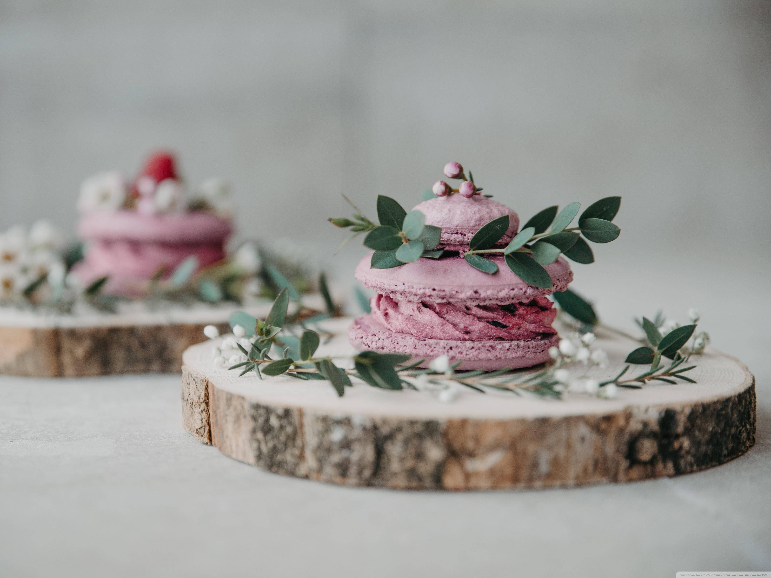 Lavendel Macaron Dessert Wallpapers