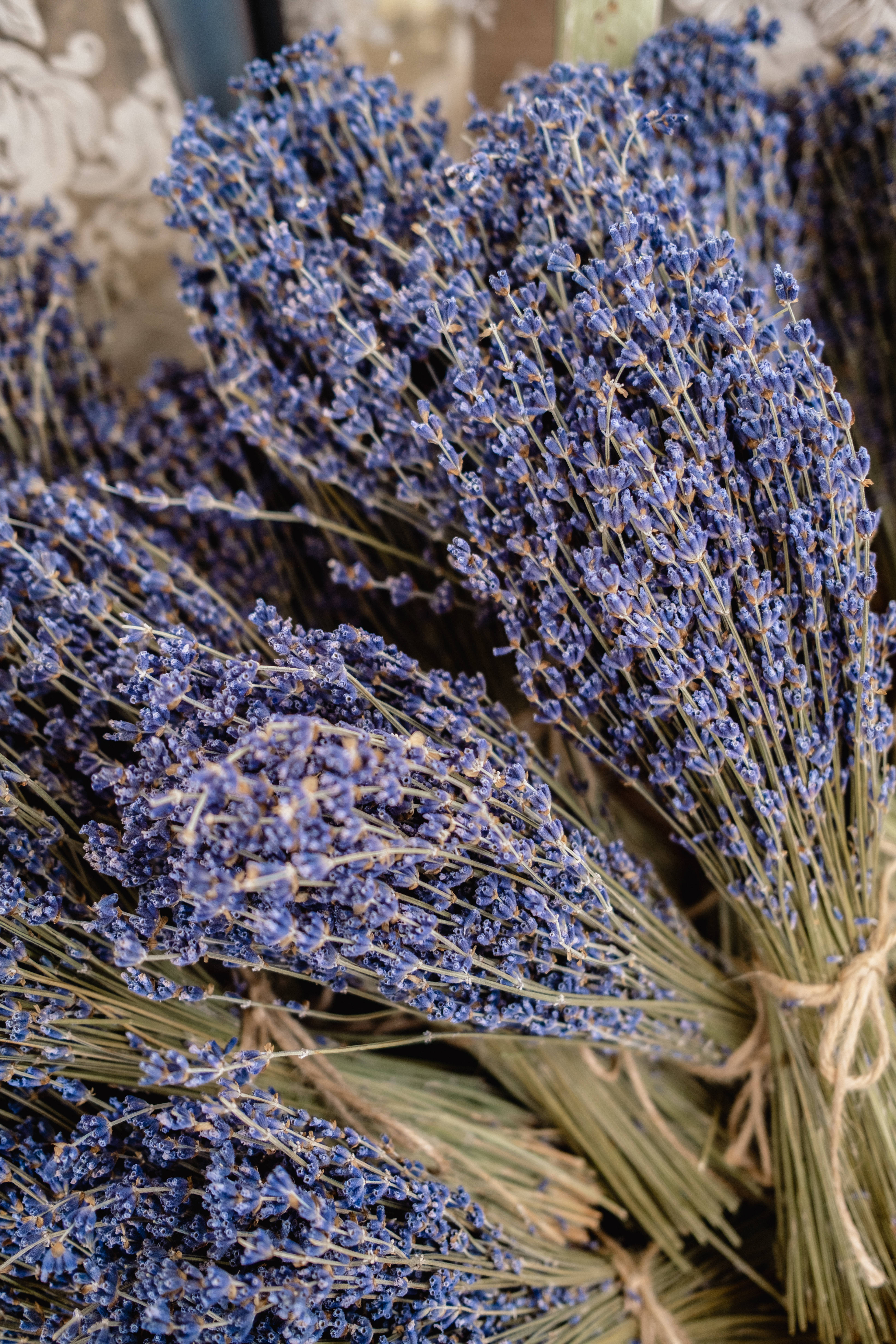 Lavendel æstetisk buket af blomster Wallpapers