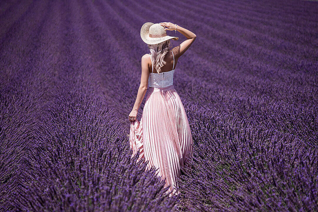 Lavendel æstetisk kvinde på marken Wallpapers