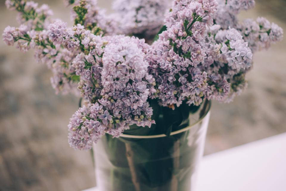 Lavendel æstetiske blomster i en vase Wallpapers