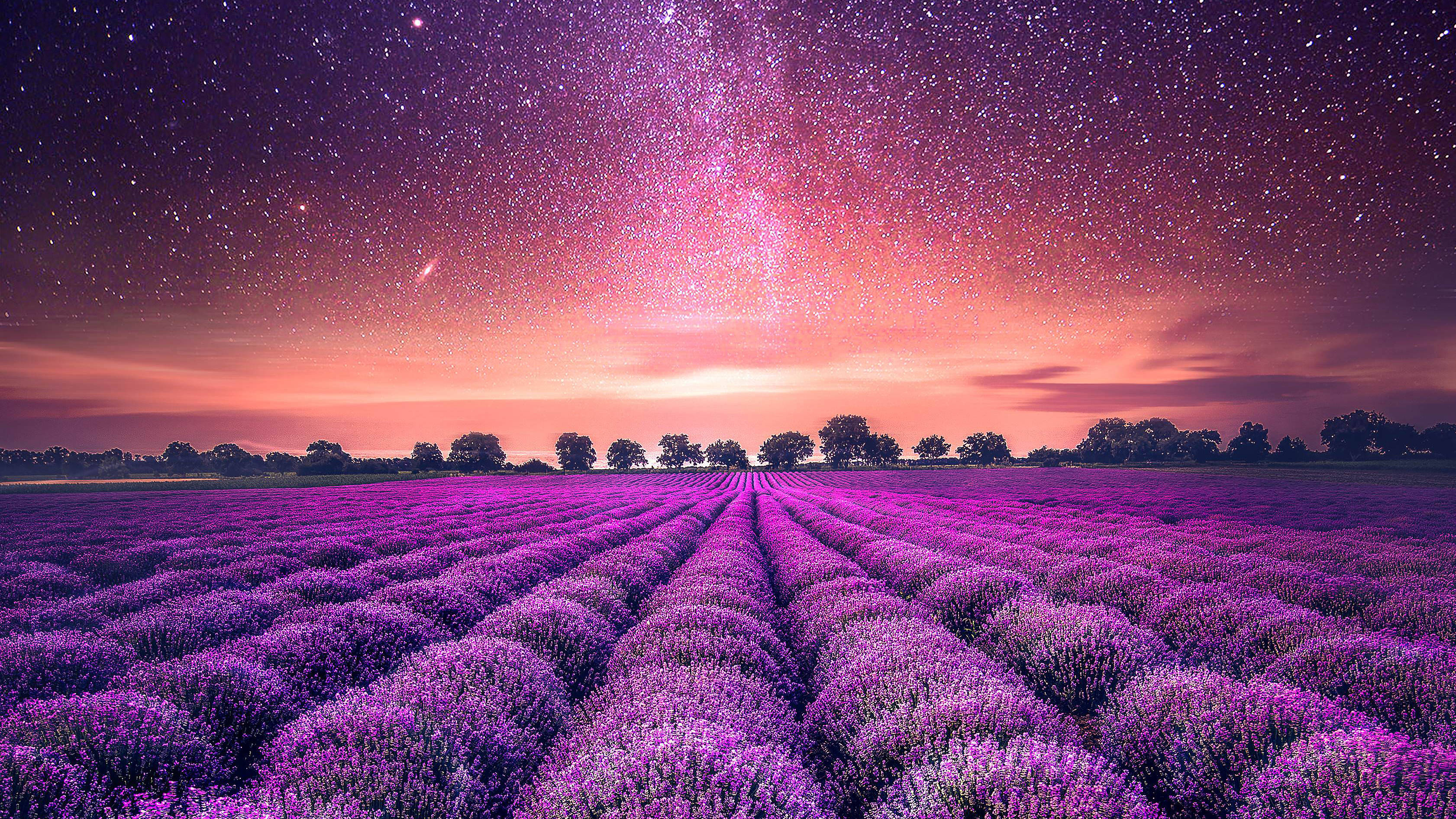 Lavendelæstetisk mark og stjerner Wallpapers