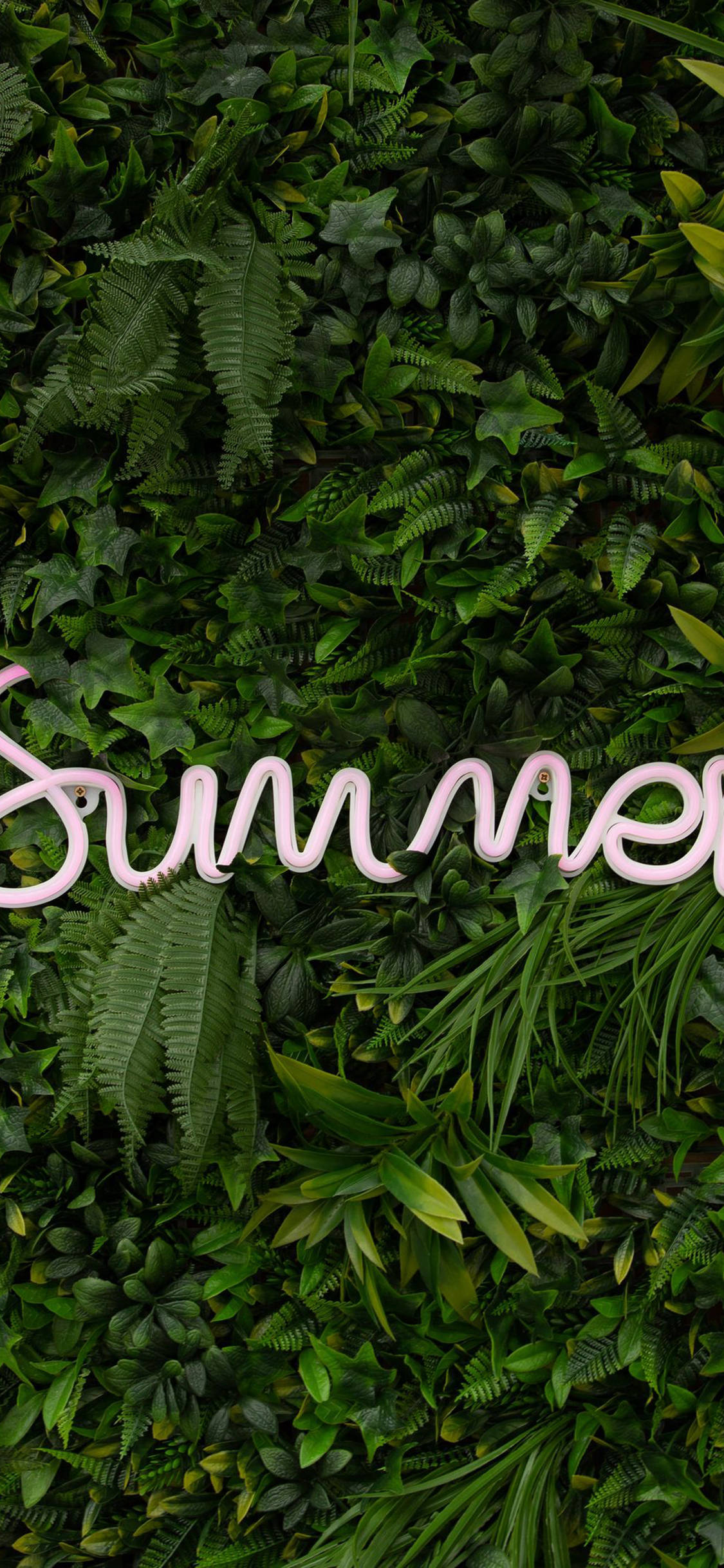 LED Summer iPhone Green Wallpapers