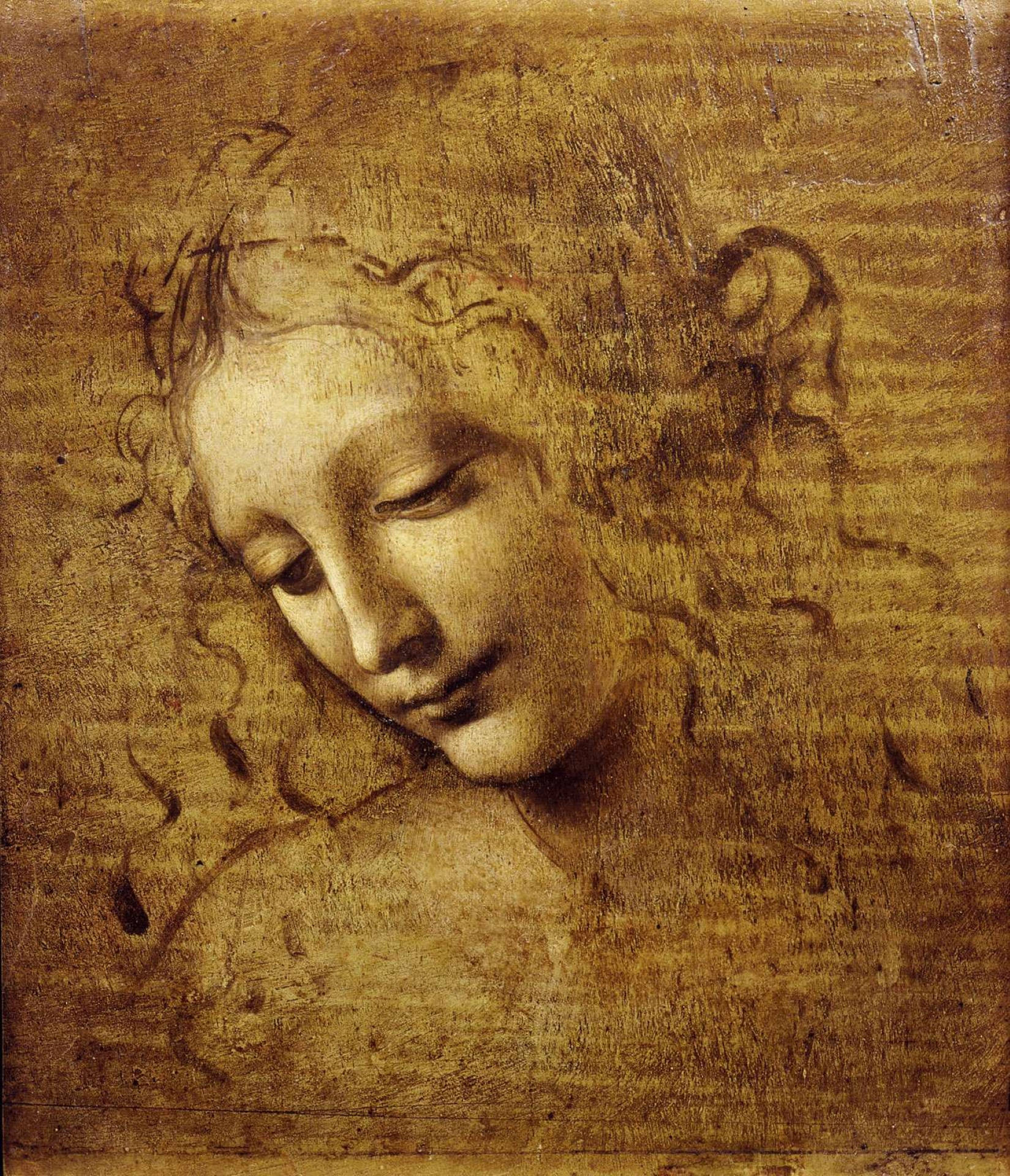 Leonardo Da Vinci Kvindehoved Maleri Wallpapers
