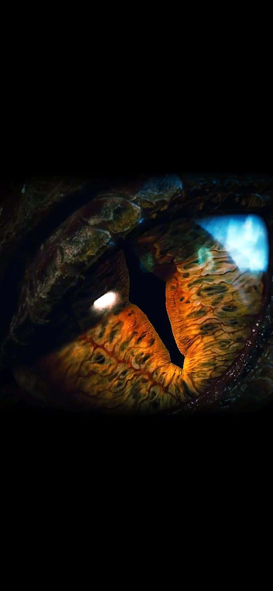 Level Up med iPhone Xs og Dragon Age Inquisition Wallpapers