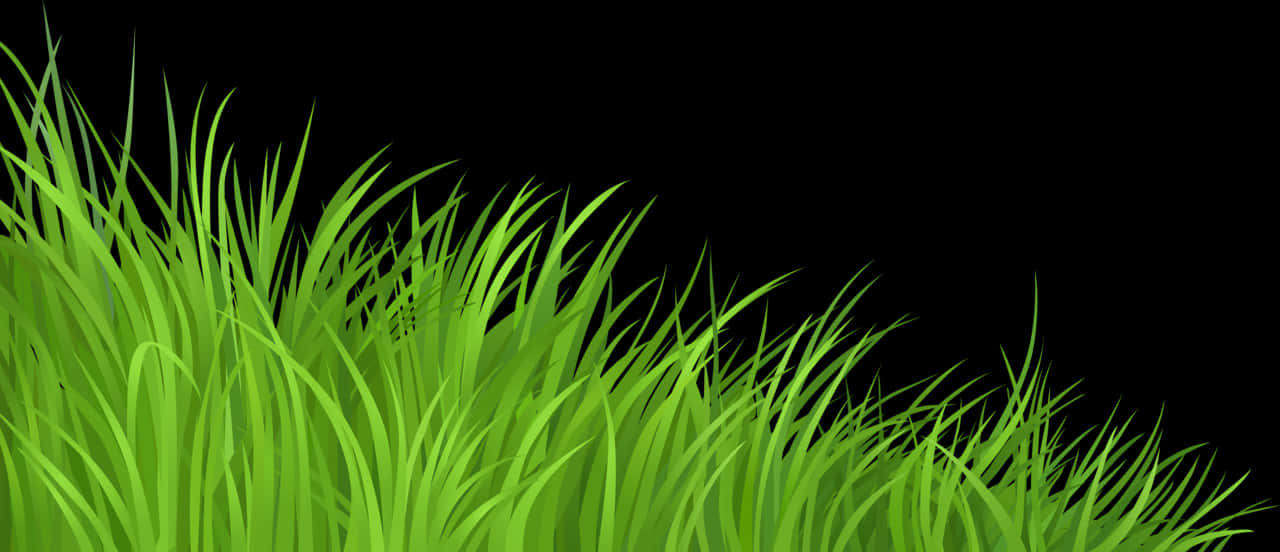 Levende grønt græs baggrund Wallpapers