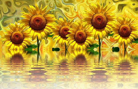 Levende solsikker refleksion kunstværk Wallpapers