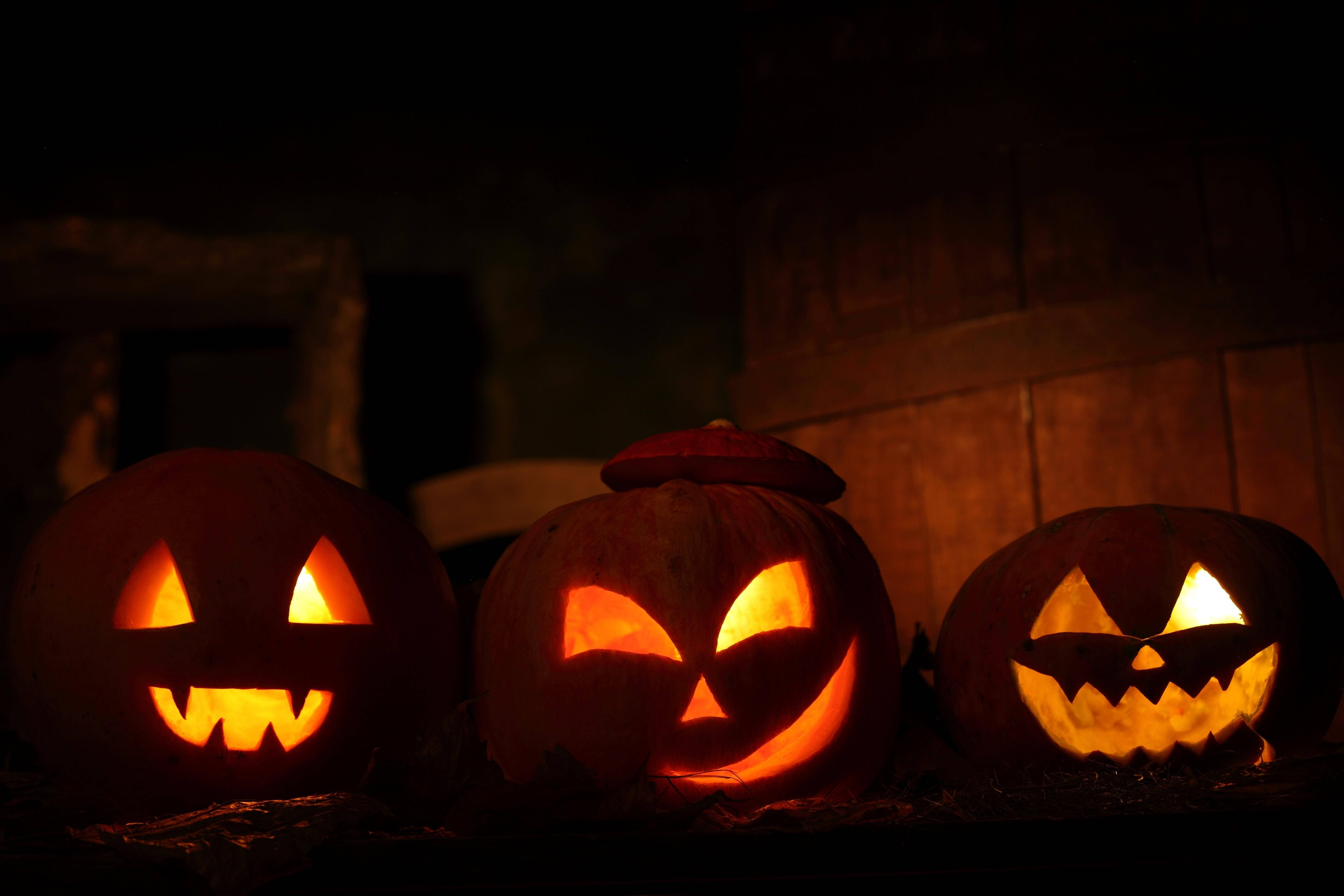 Lige til Halloween, udskårne græskar oplyst af en fuldmåne Wallpapers