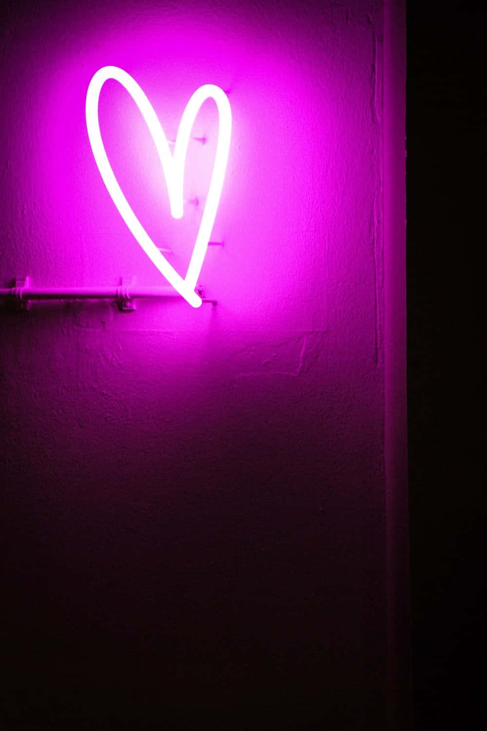 Lilla LED neonhjerte portrætbillede Wallpapers