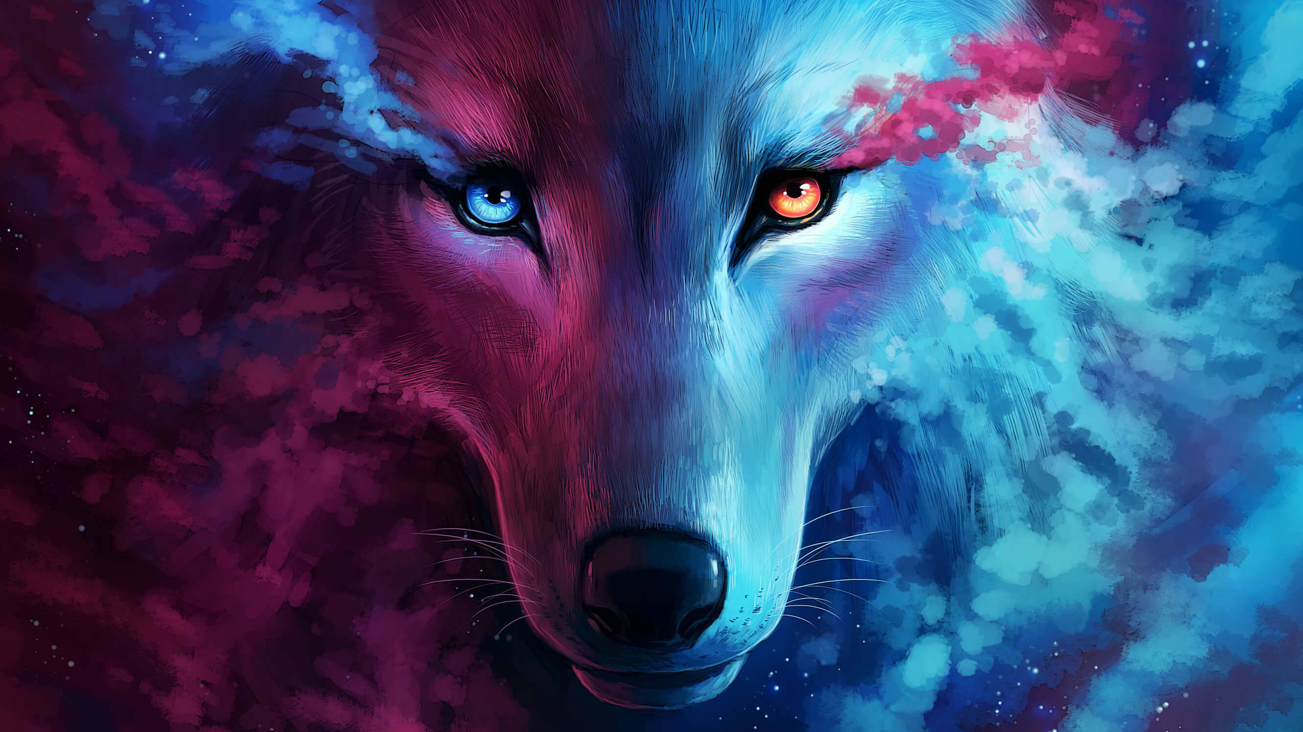 Lilla og blå galakseulv Wallpapers
