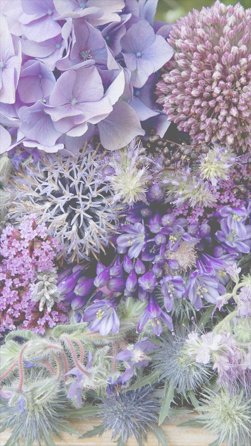 Lilla og violet blomster iPhone Wallpapers