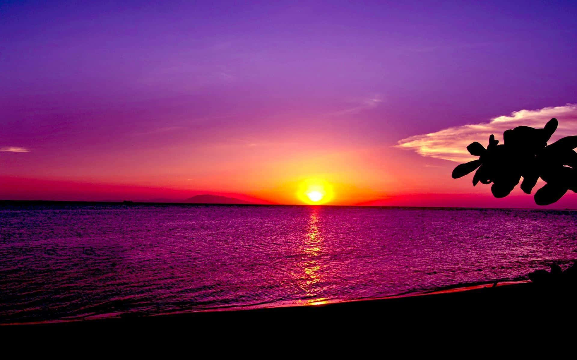 lilla solnedgang baggrund Wallpapers