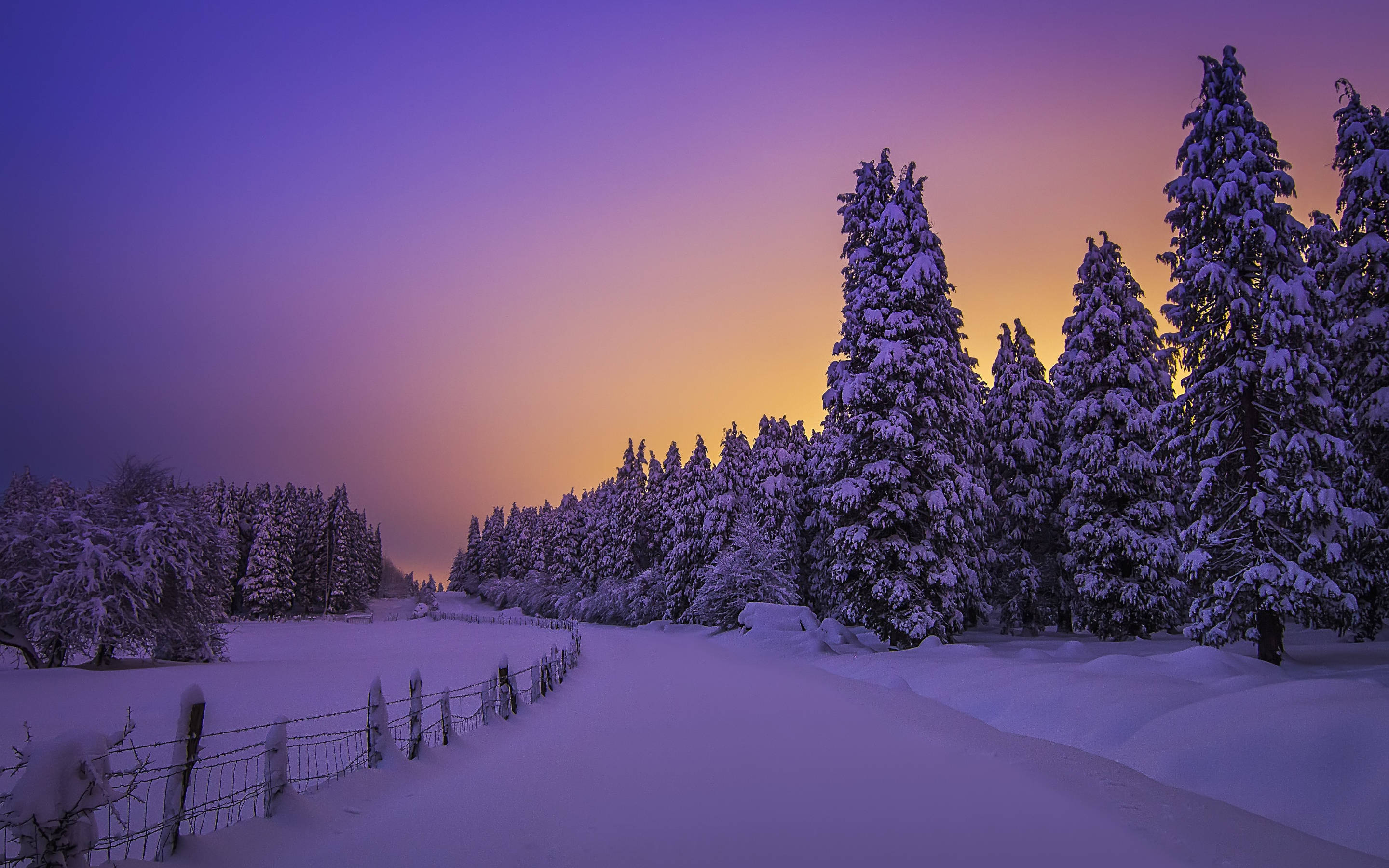 Lilla solnedgang vinteræstetik Wallpapers