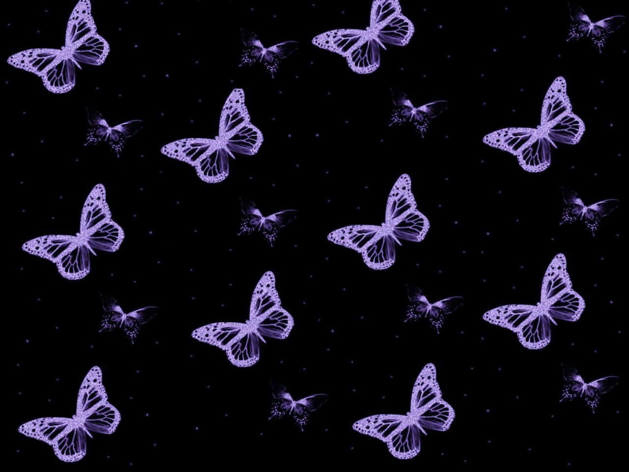 lilla sommerfugle på en sort baggrund Wallpapers