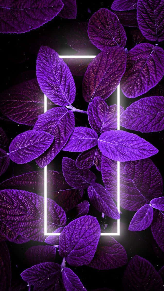 Lilla æstetisk neonlys hvid kant med blade Wallpapers