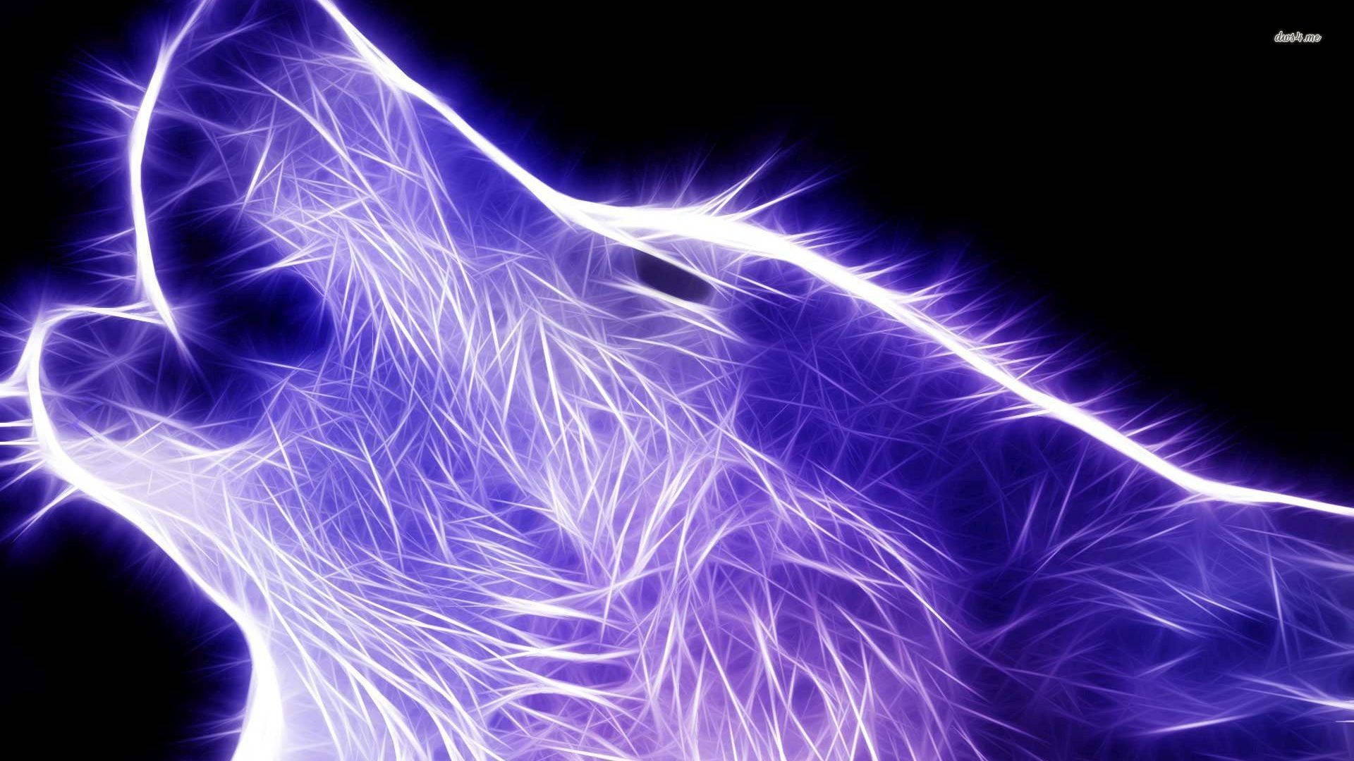 Lilla æstetisk sej ulv Wallpapers