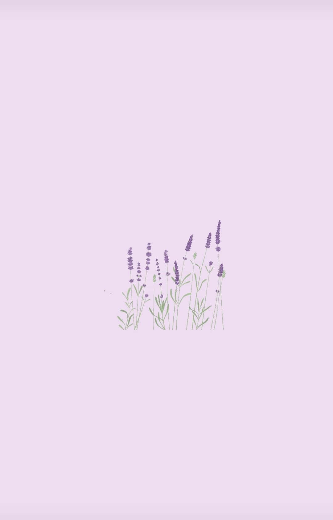 Lillaens forførende farve Wallpapers