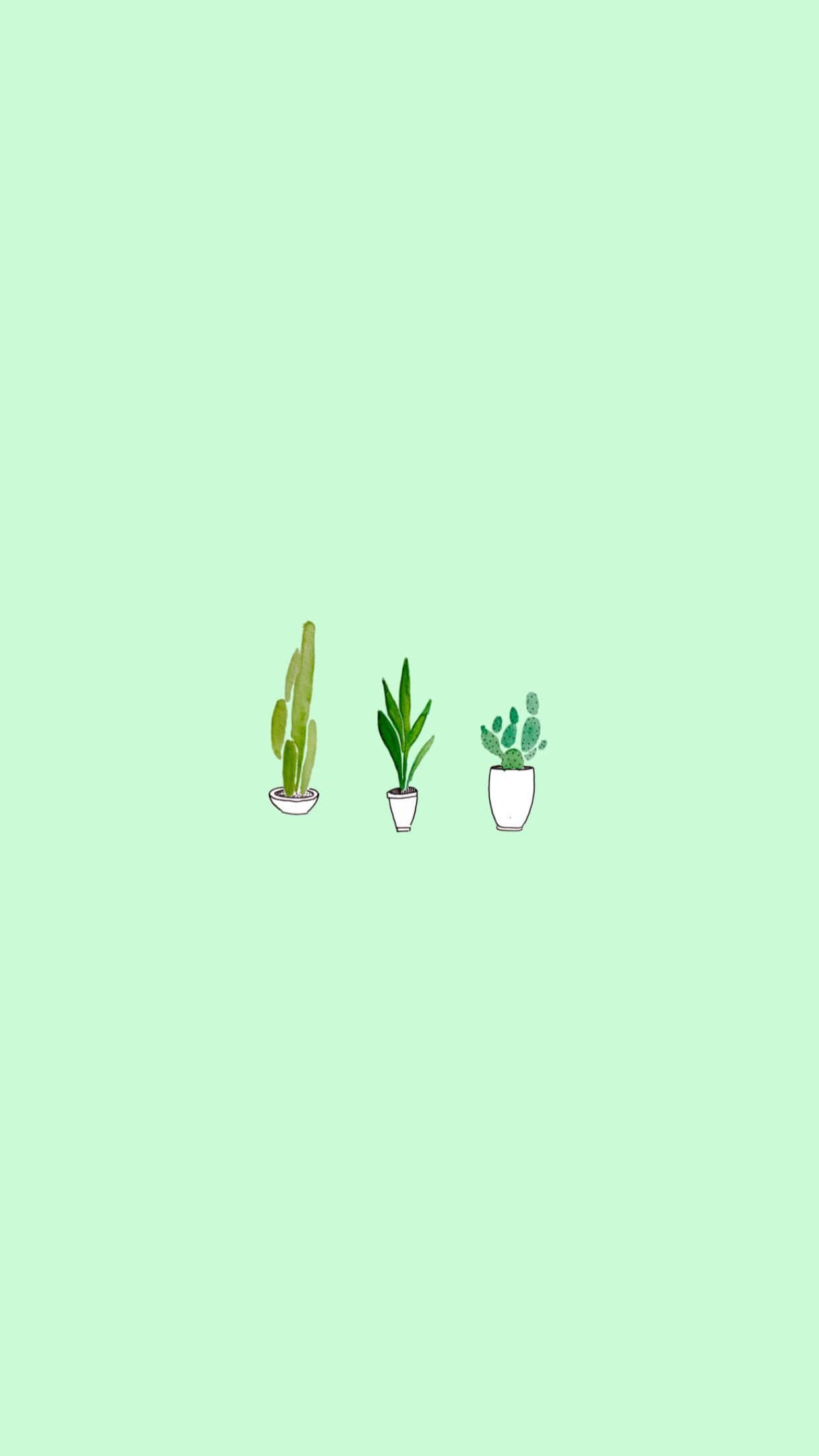 Limegrøn æstetik med søde planter Wallpapers