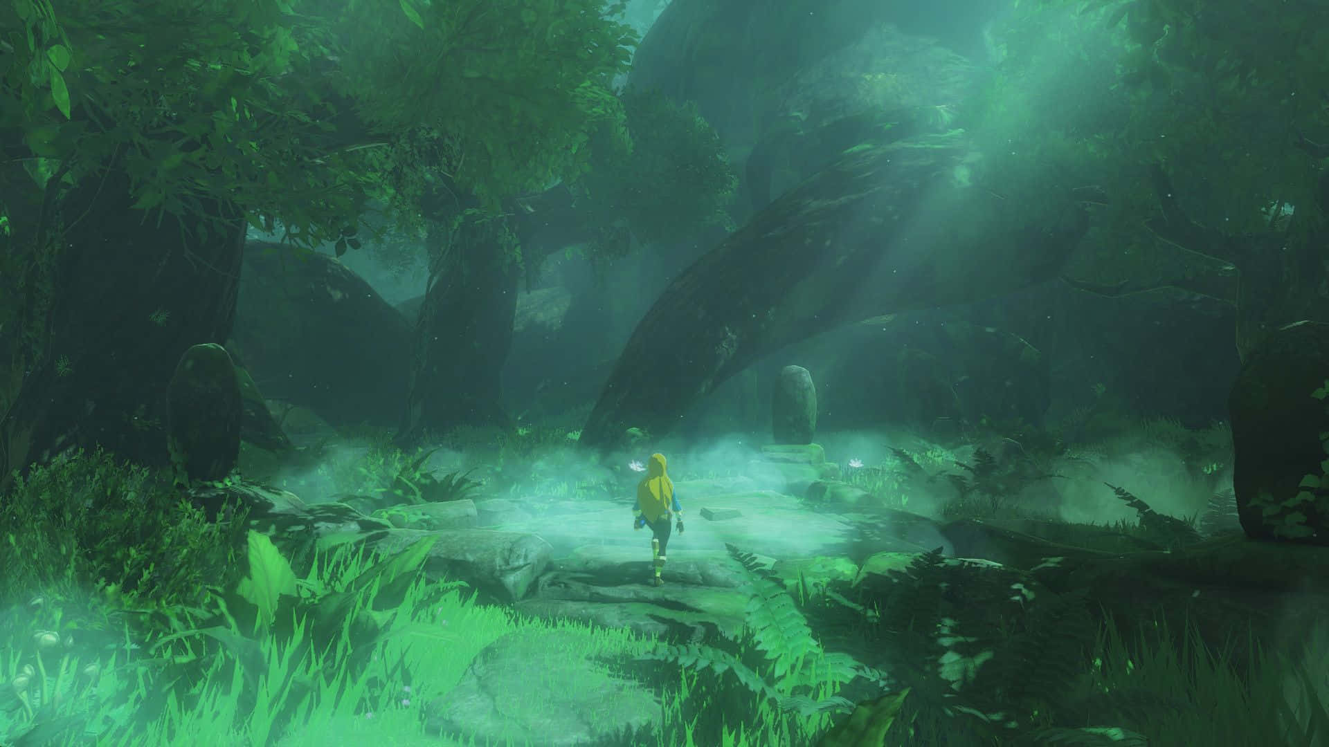 Link på en rejse gennem The Legend of Zeldas verden Wallpapers