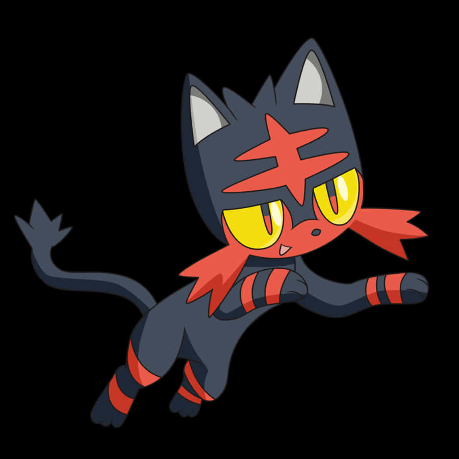 Litten klar til kamp Wallpapers