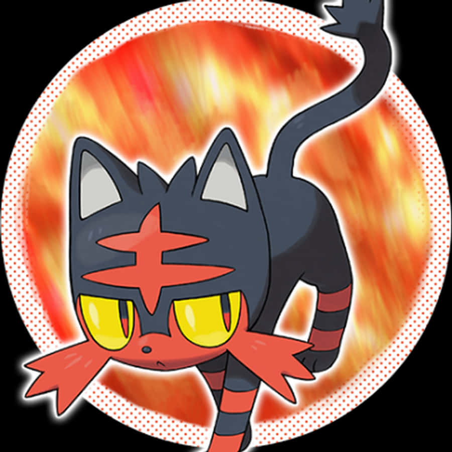Litten med orange cirkelgrafik Wallpapers