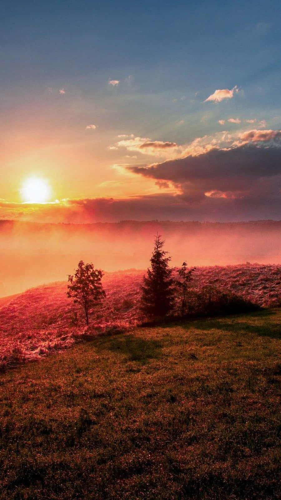 Livlig solnedgang over stranden Wallpapers