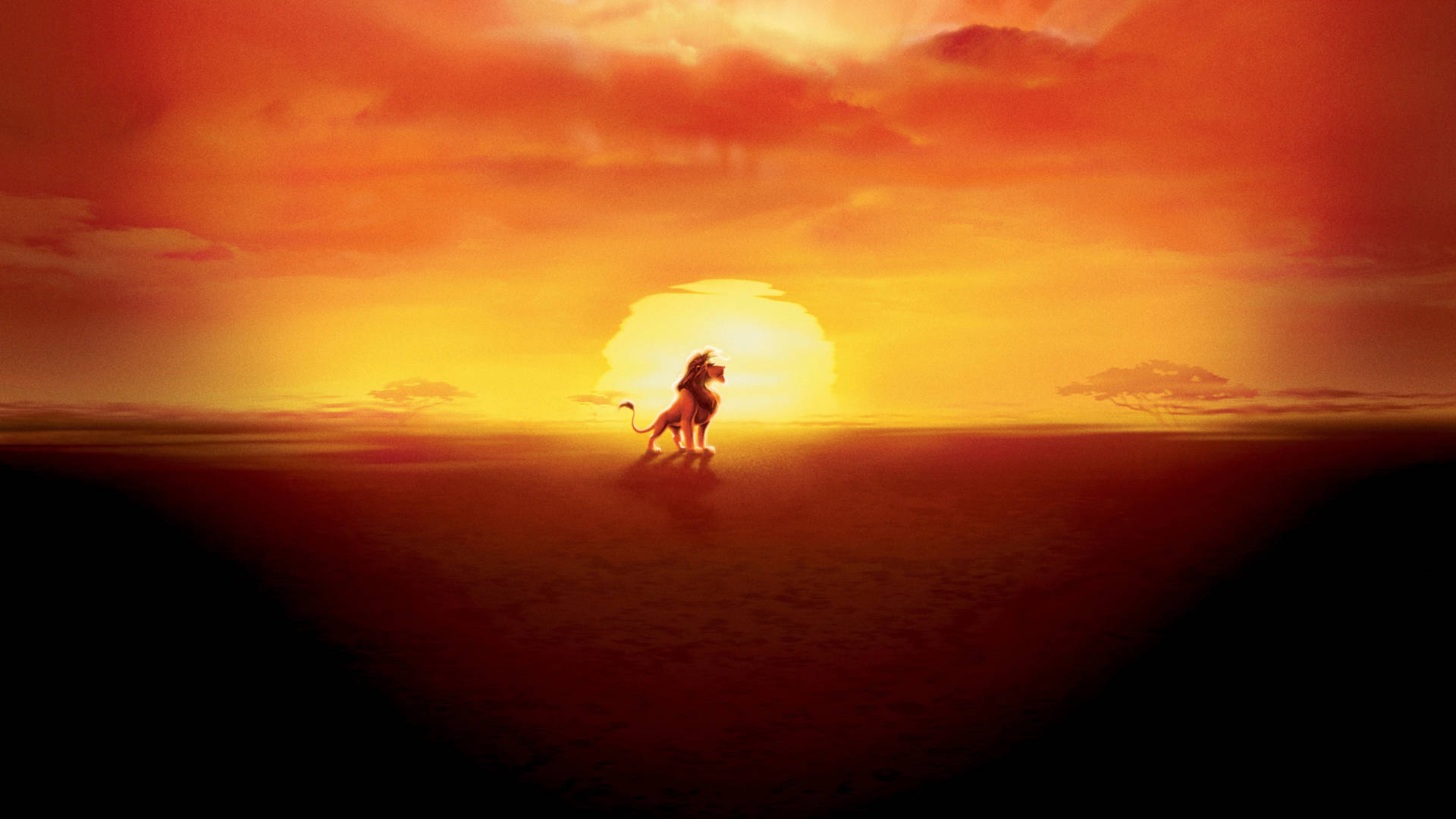Løvernes Konge Simba solnedgang Wallpapers