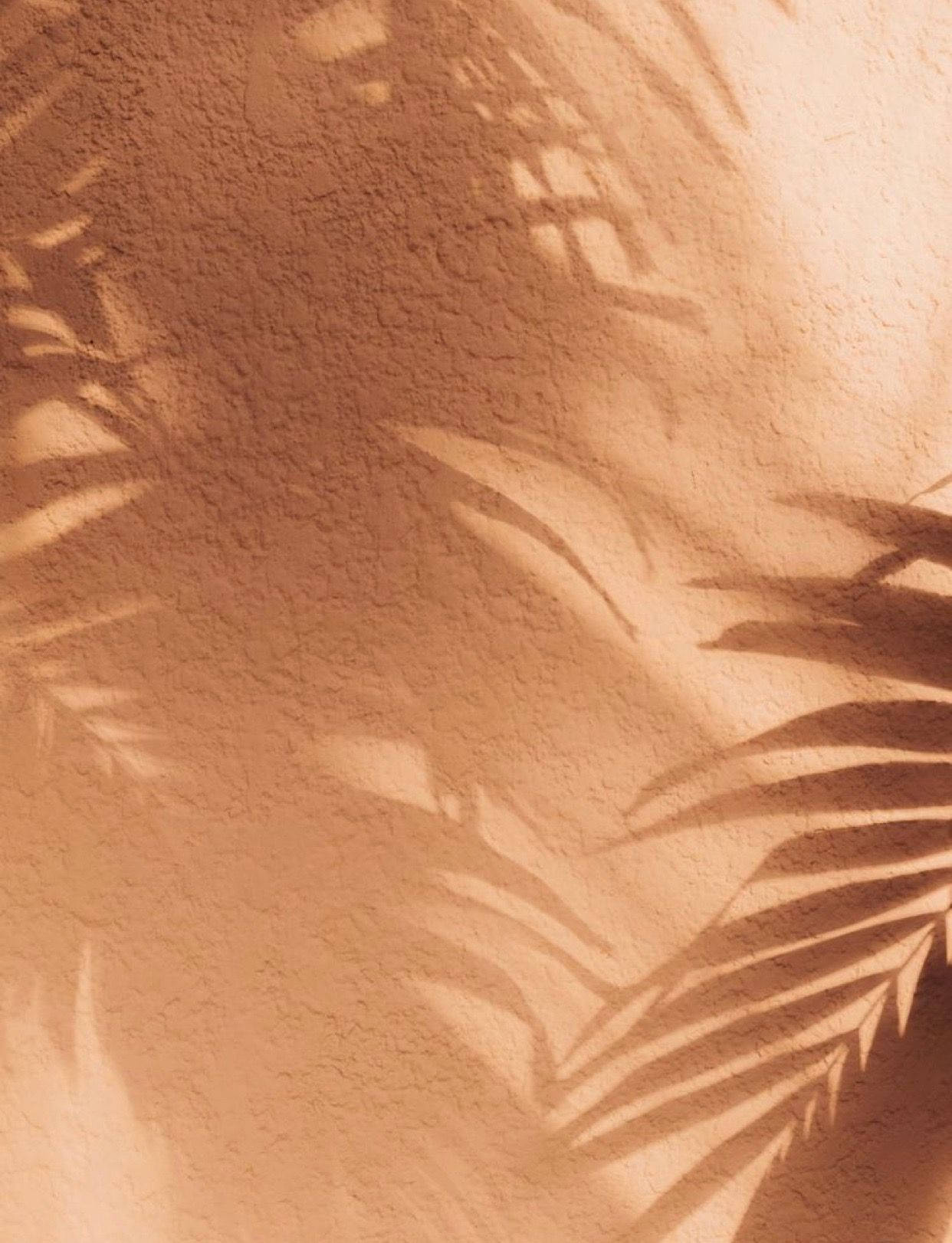 Løvs skygger på neutral baggrund Wallpapers