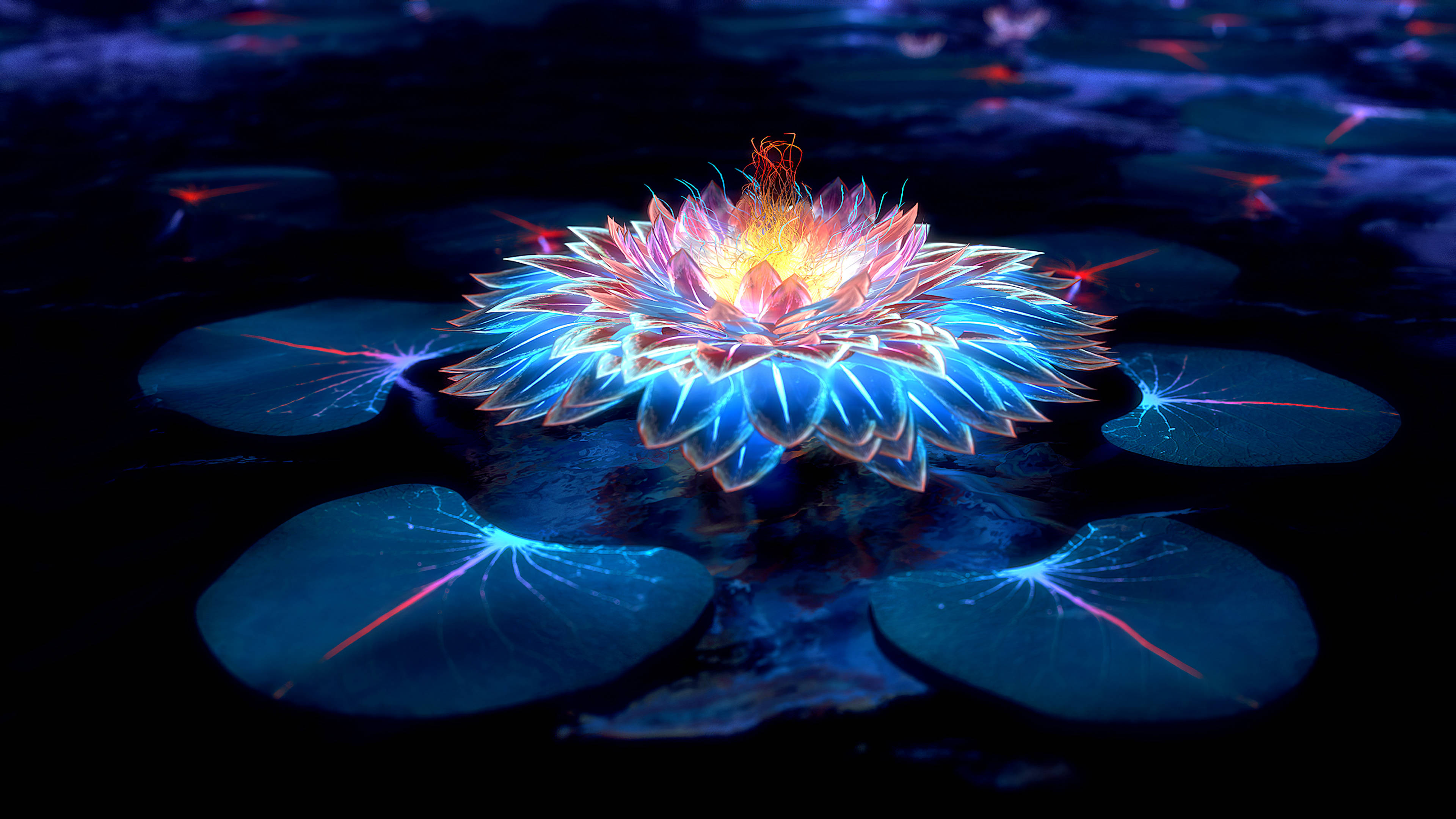 Lotus og lys i mørket Wallpapers