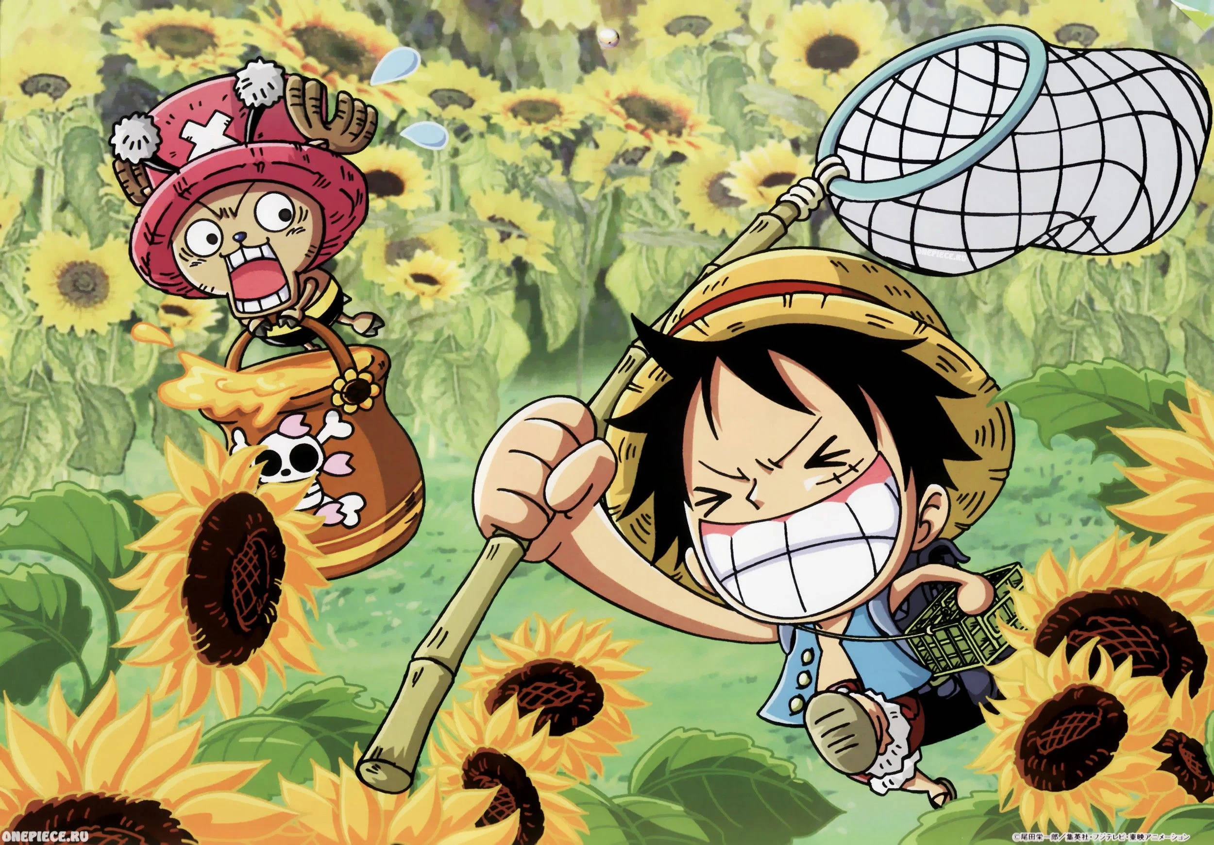 Luffy og Chopper Sjov Anime Wallpapers