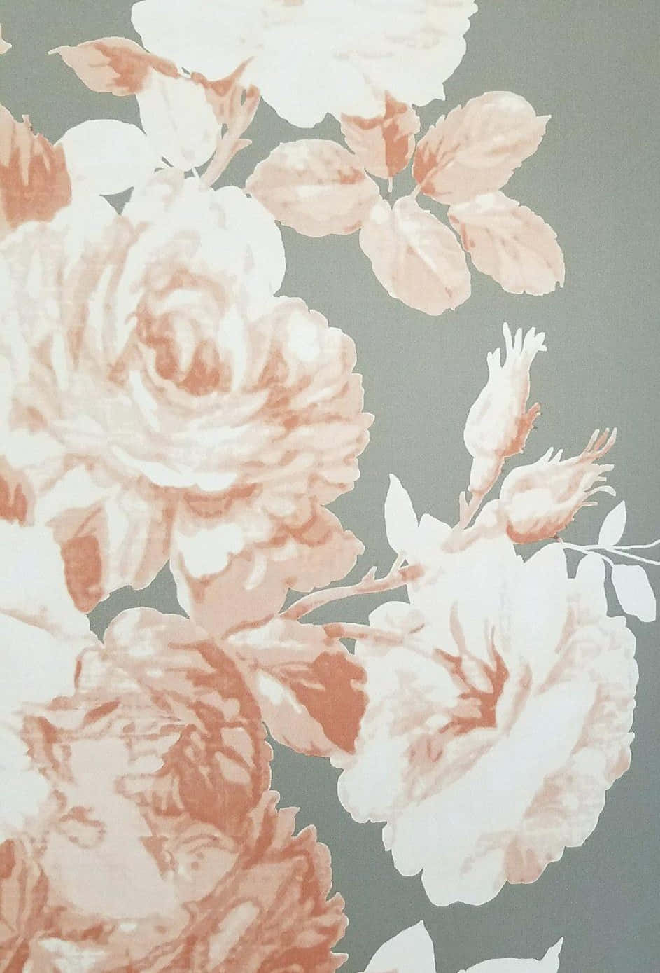 Lys din dag op med et smukt blomster iPhone-baggrund Wallpapers