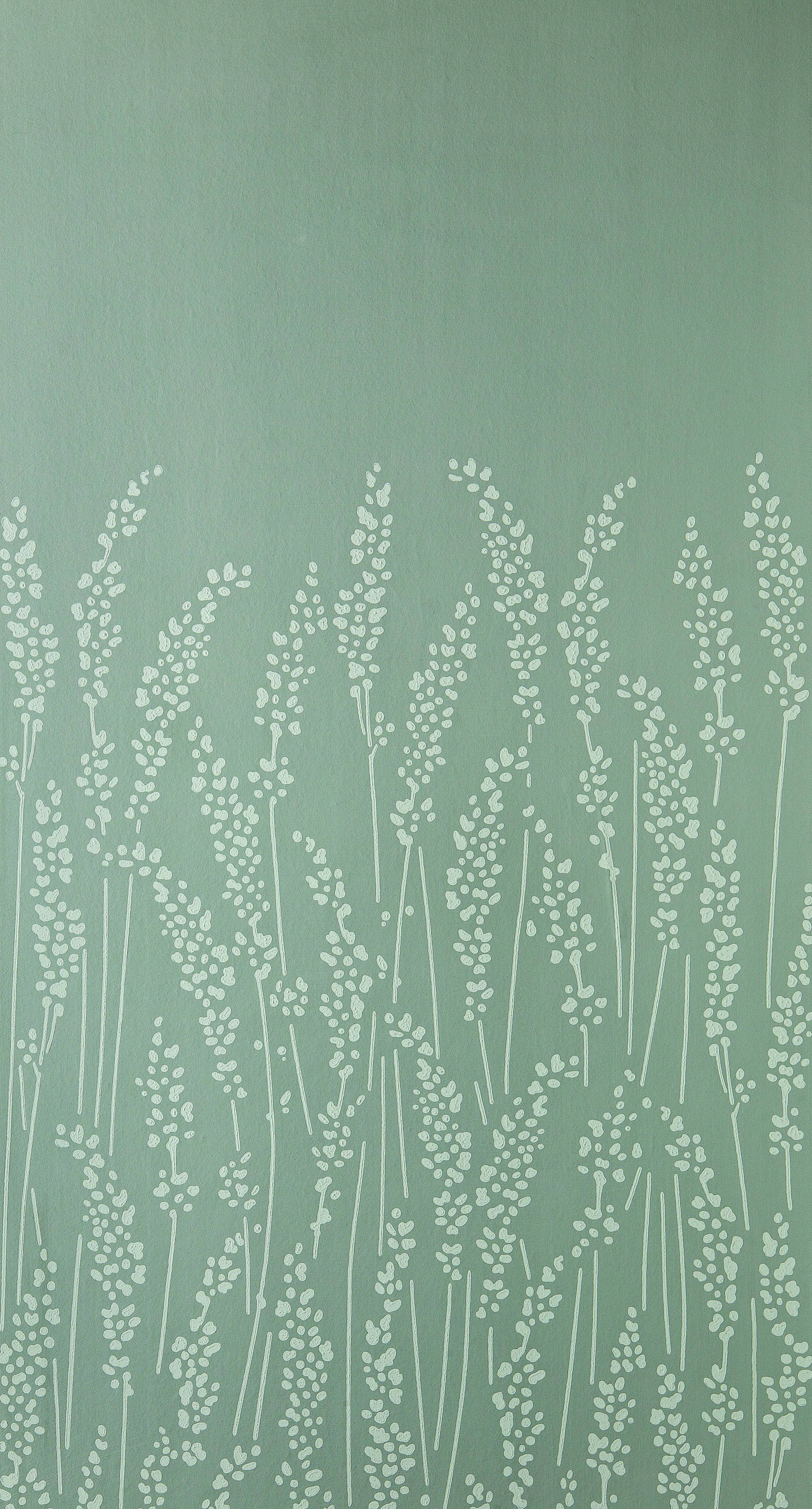 Lys grøn æstetisk fjergræs Wallpapers