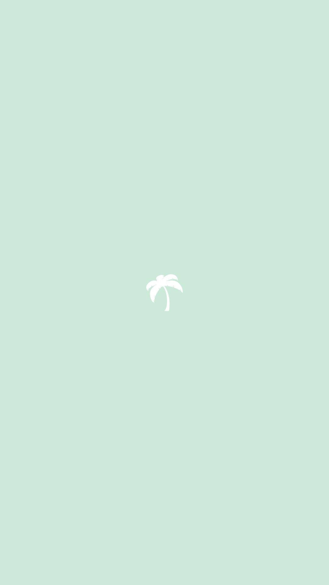 Lys grøn æstetisk minimalistisk palmetræ Wallpapers
