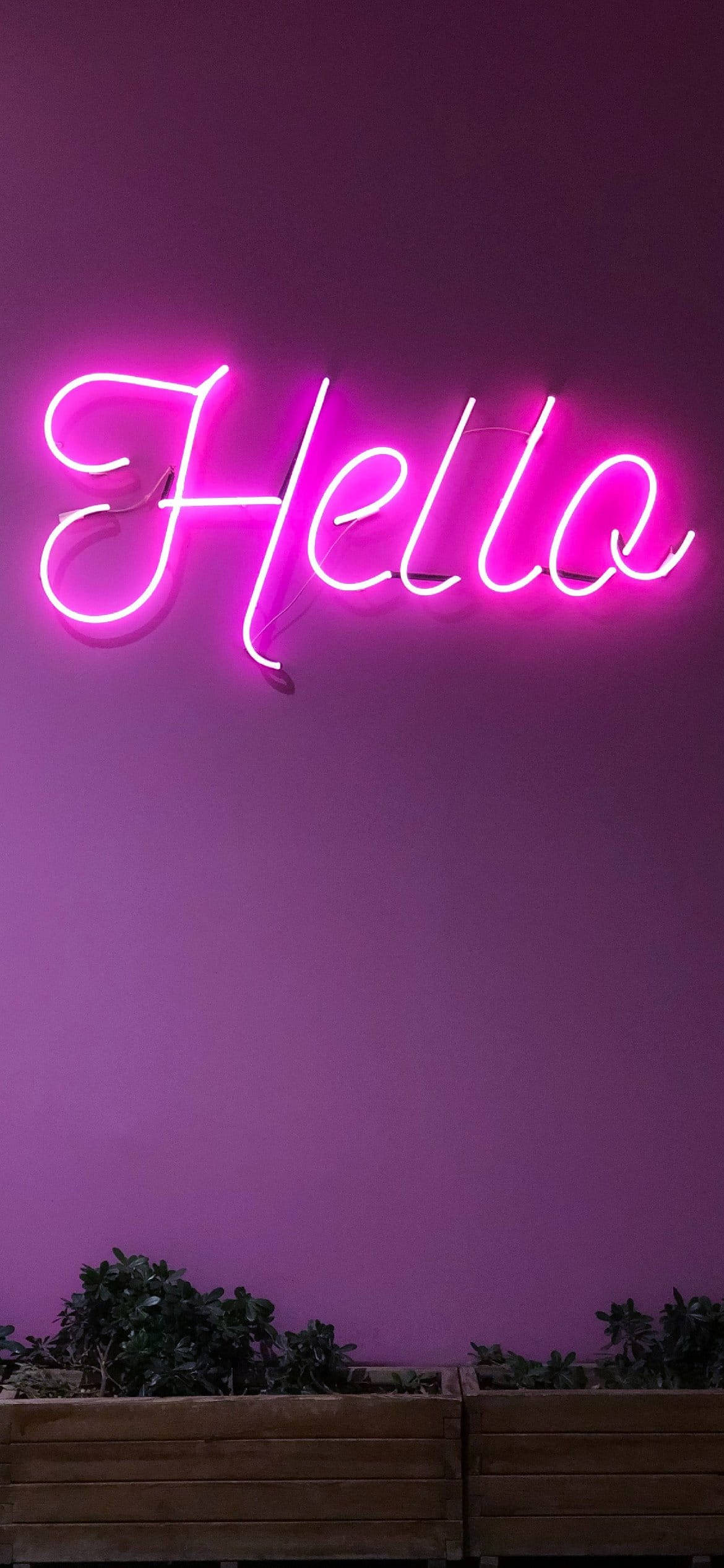 Lys lilla æstetisk neon-hej Wallpapers