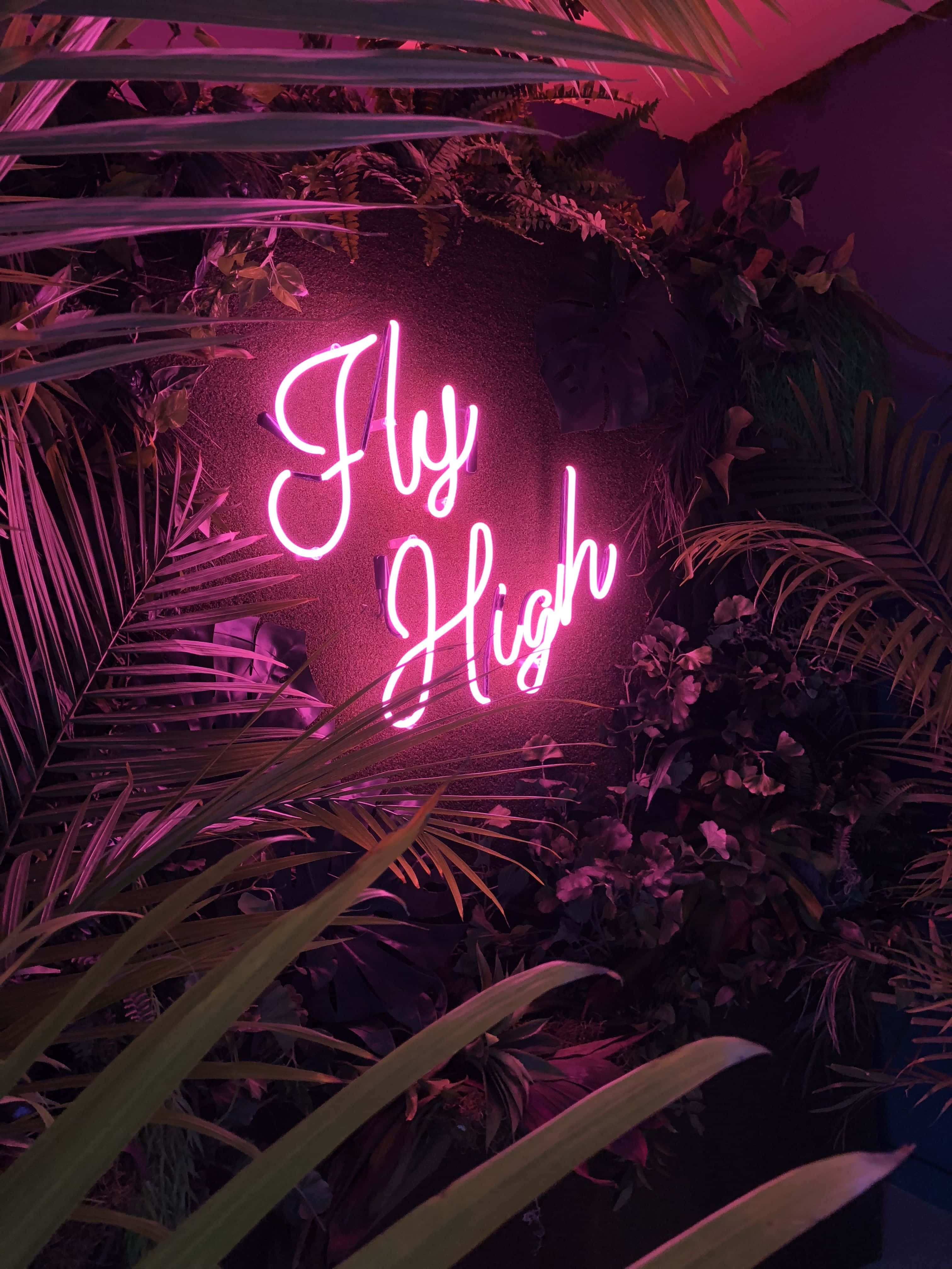 Lys og dristig neonlyserød æstetik Wallpapers